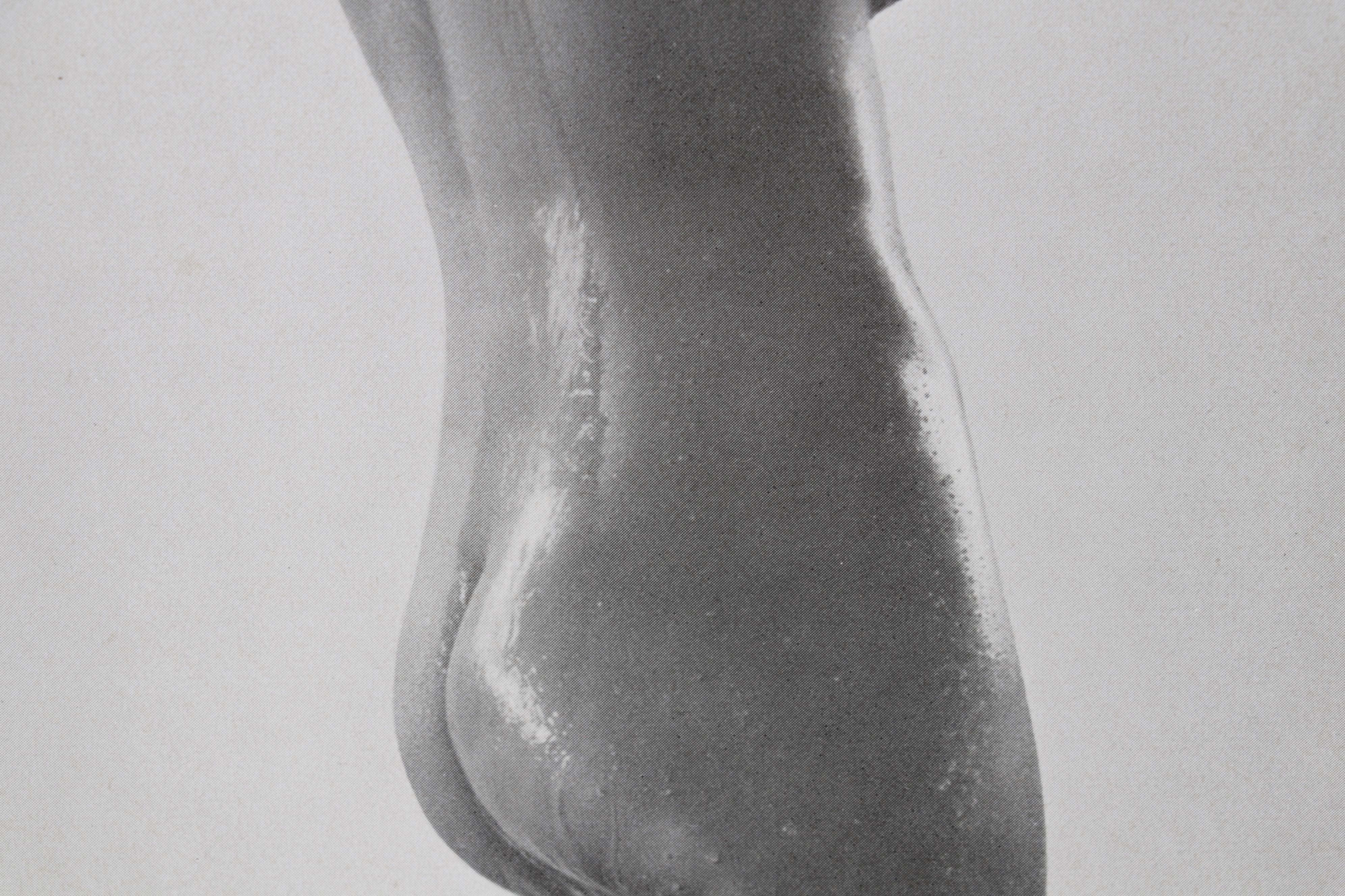 Bruno Schultz Nude Portrait Halftone From "Das Deutsche Aktwerk," Circa 1940