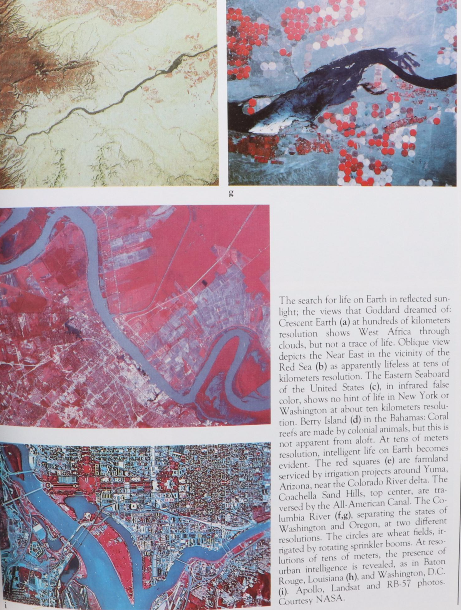 First Edition Thus "Cosmos" by Carl Sagan, 1995