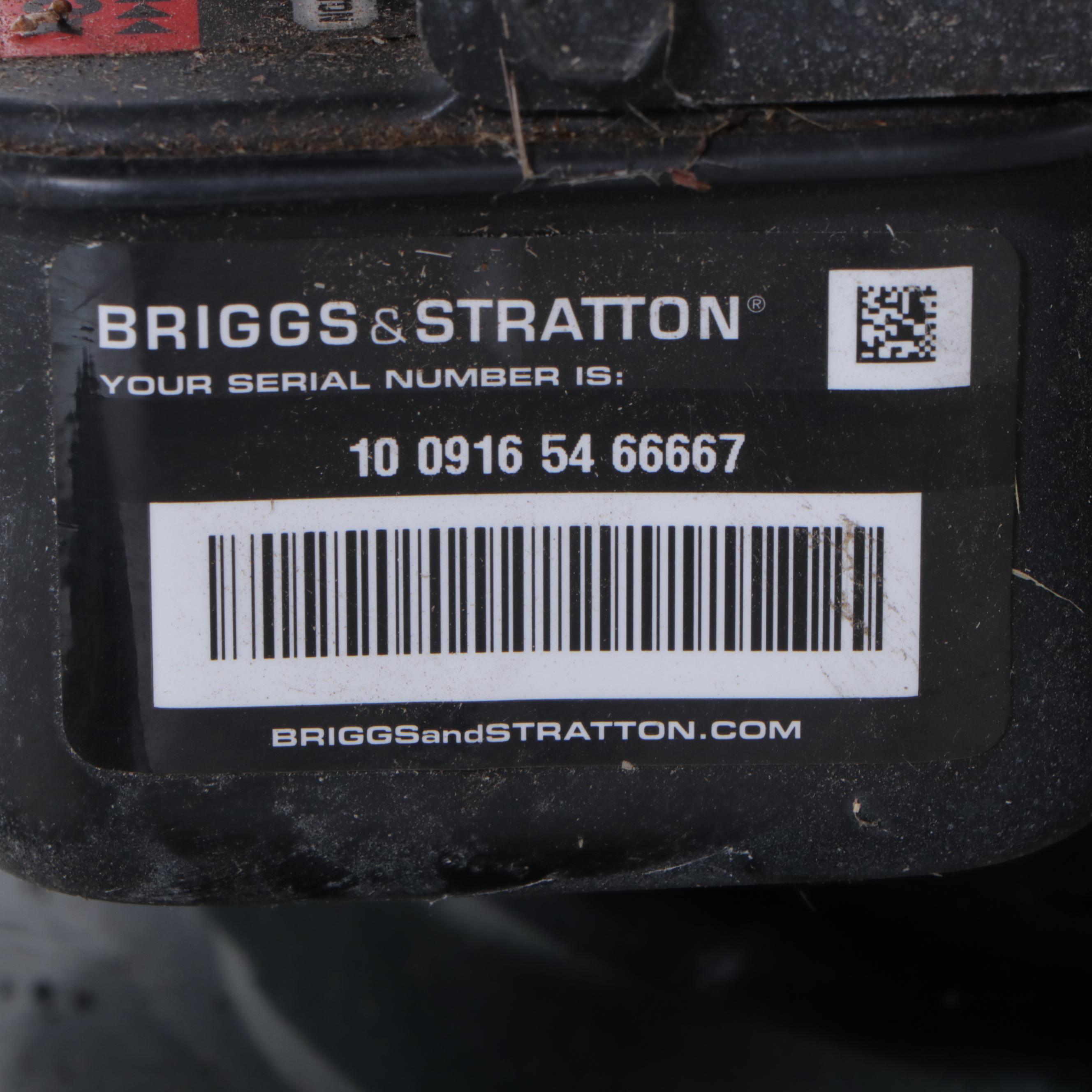 Bolens 21" Side Discharge Push Lawnmower with Bag