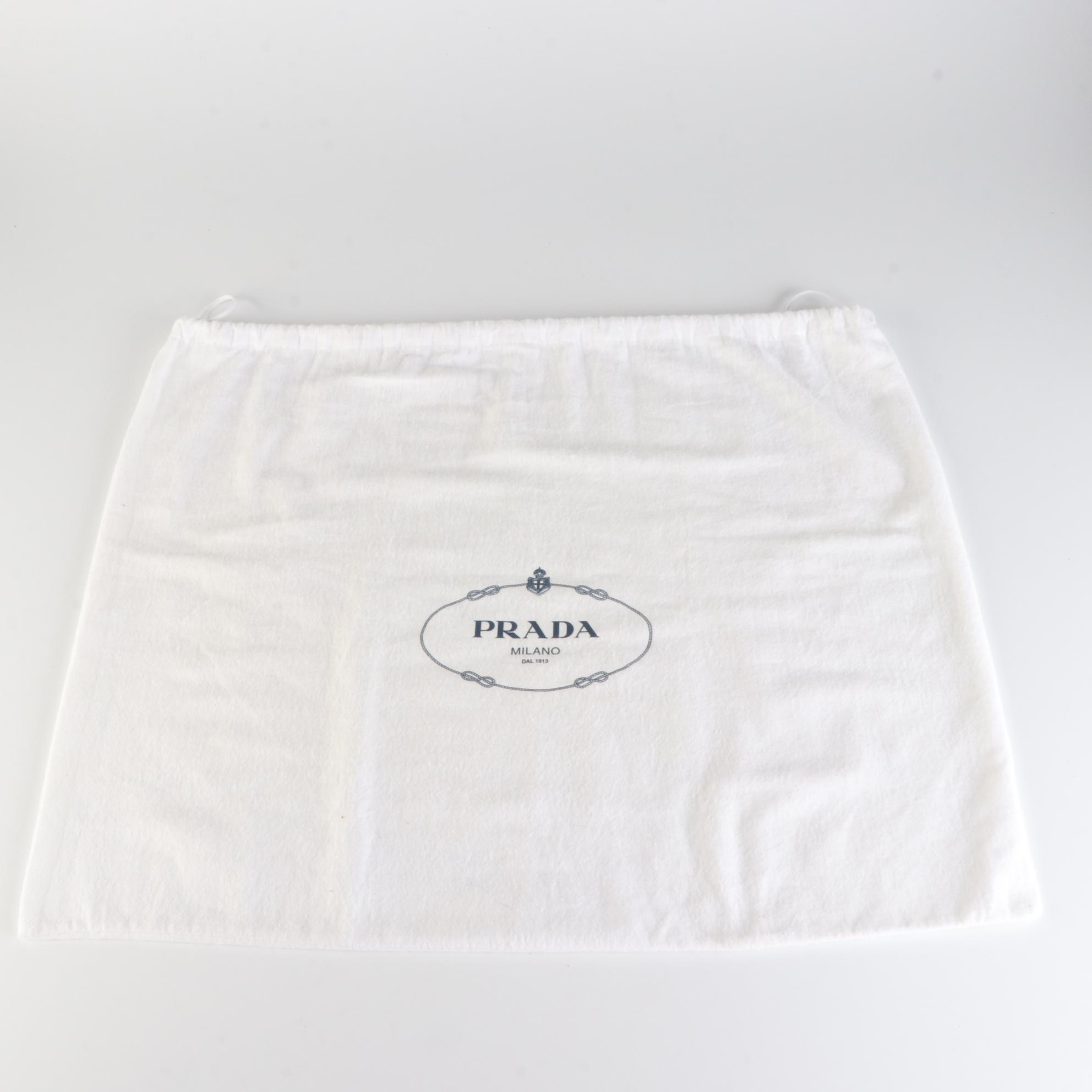 Prada Double Zip Frame Bag in Saffiano Leather