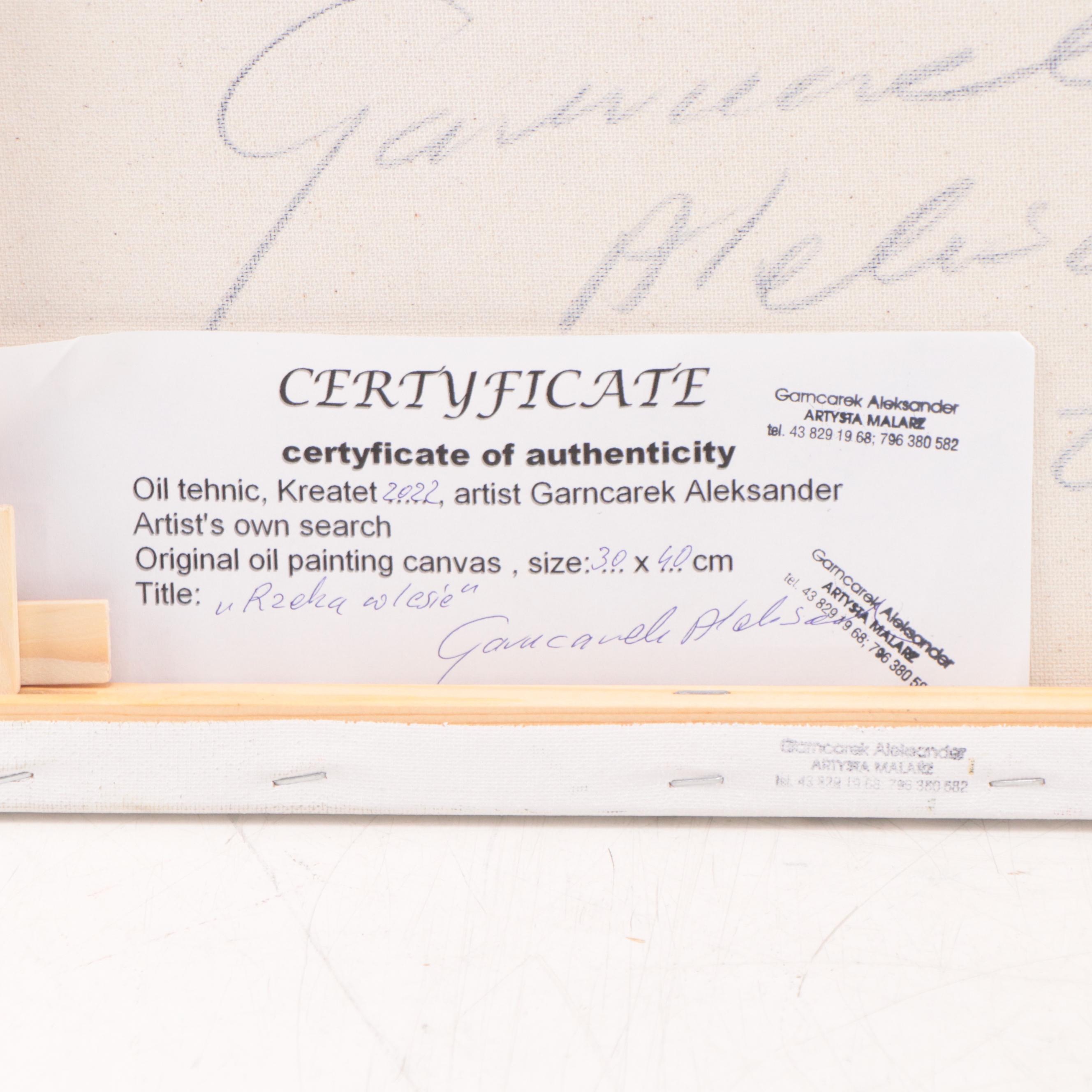 Garncarek Aleksander Oil Painting "Rzeka w Lesie," 2022