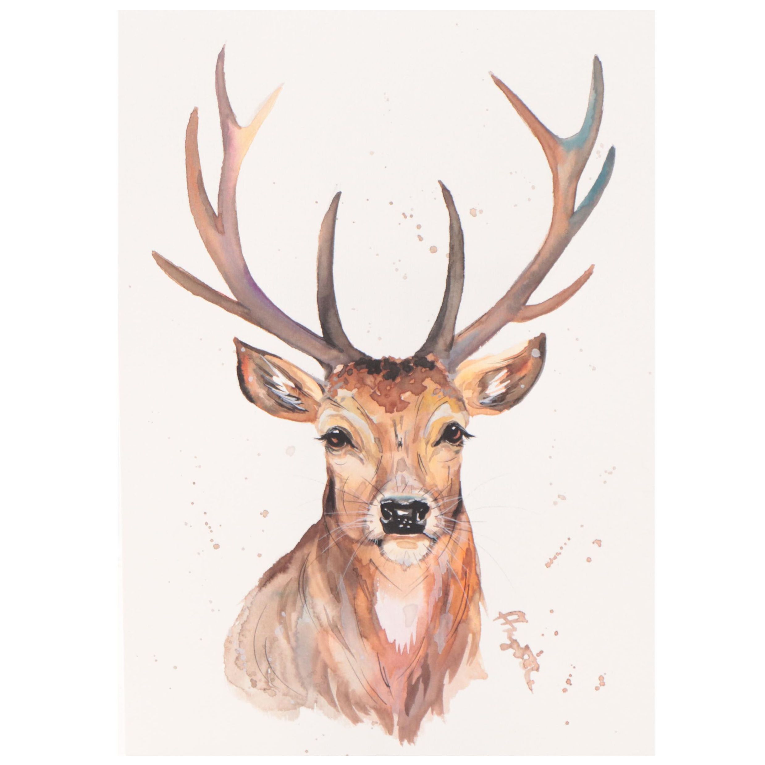 Anne Gorywine Watercolor Painting of Deer, 2022