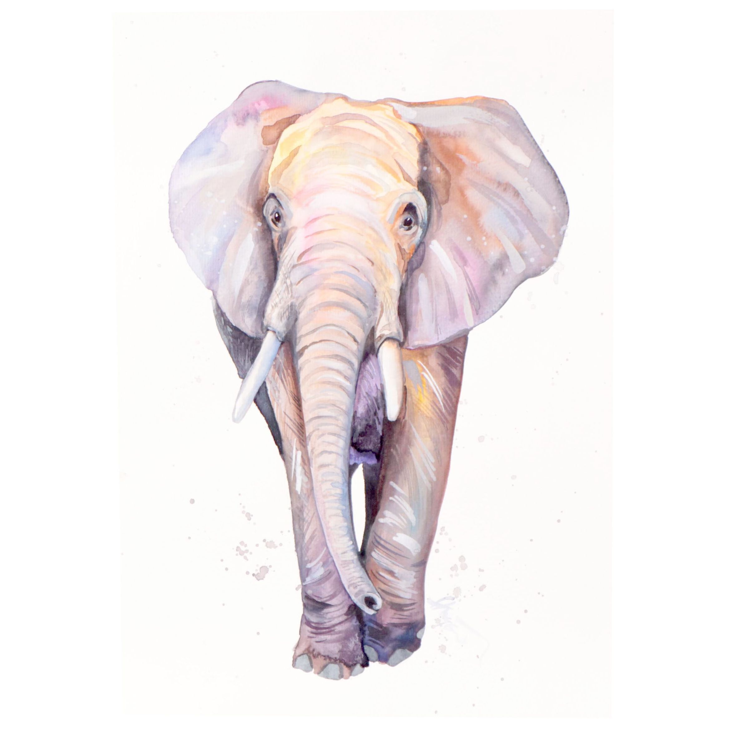 Anne Gorywine Watercolor Painting of Elephant, 2022
