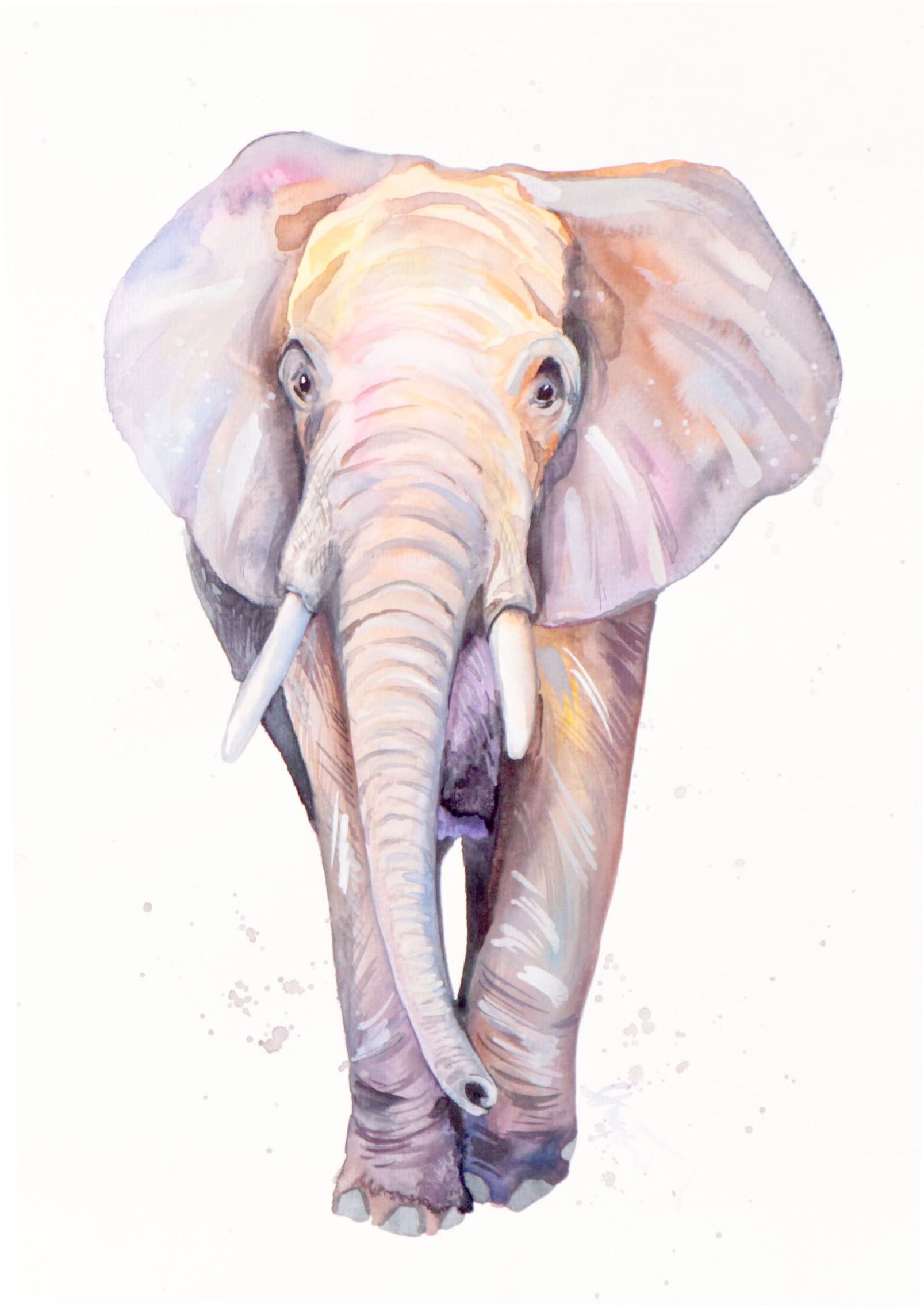 Anne Gorywine Watercolor Painting of Elephant, 2022