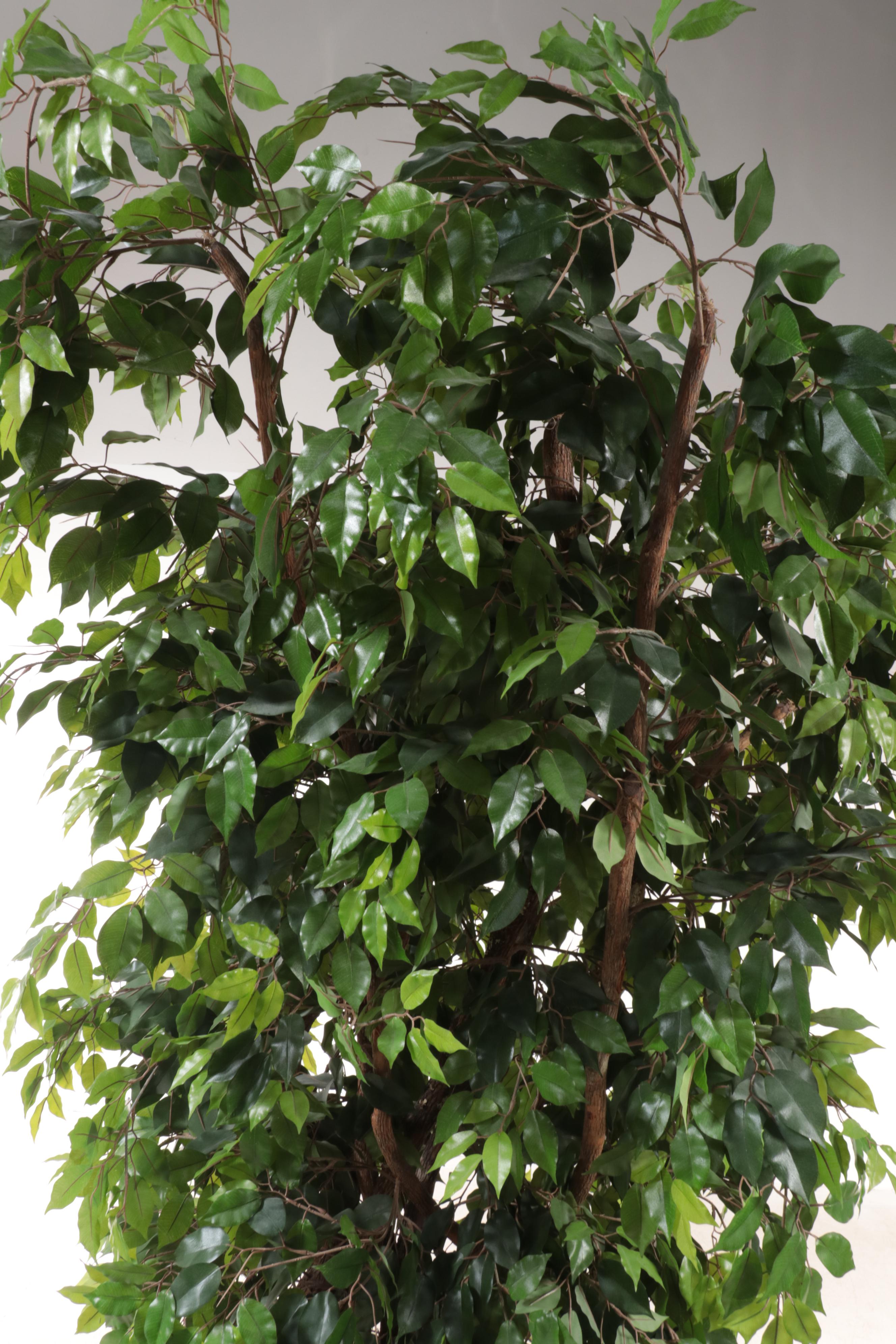 Artificial 9' Ficus Tree in Planter