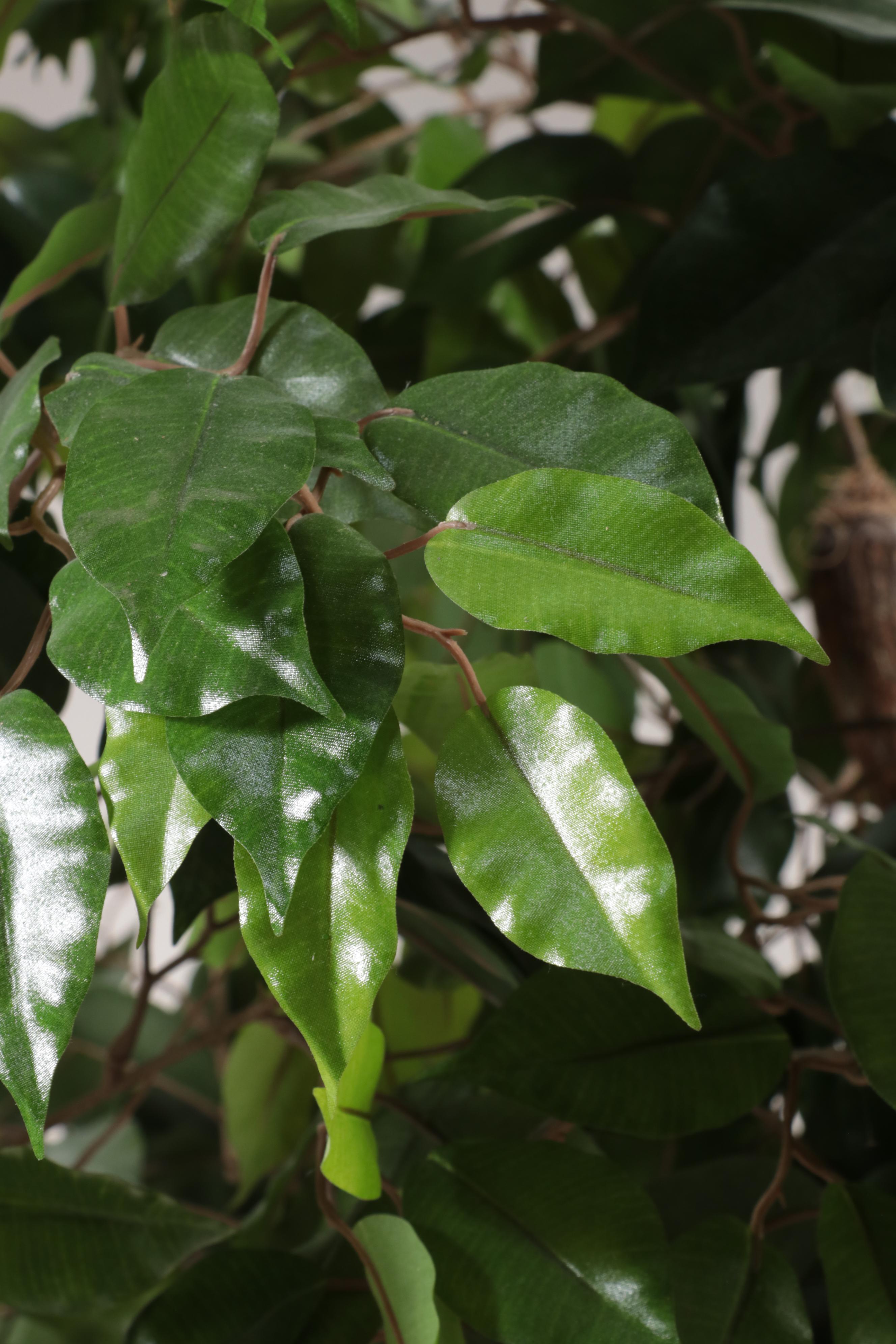 Artificial 9' Ficus Tree in Planter