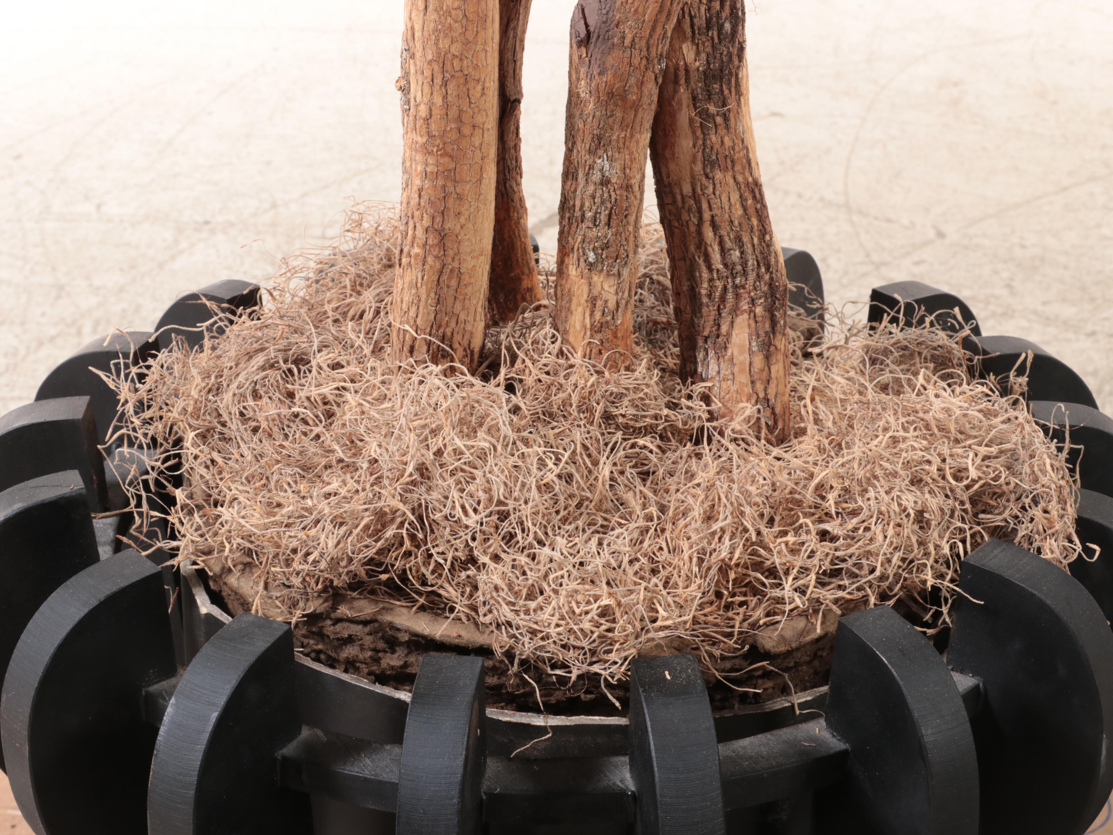 Artificial 9' Ficus Tree in Planter