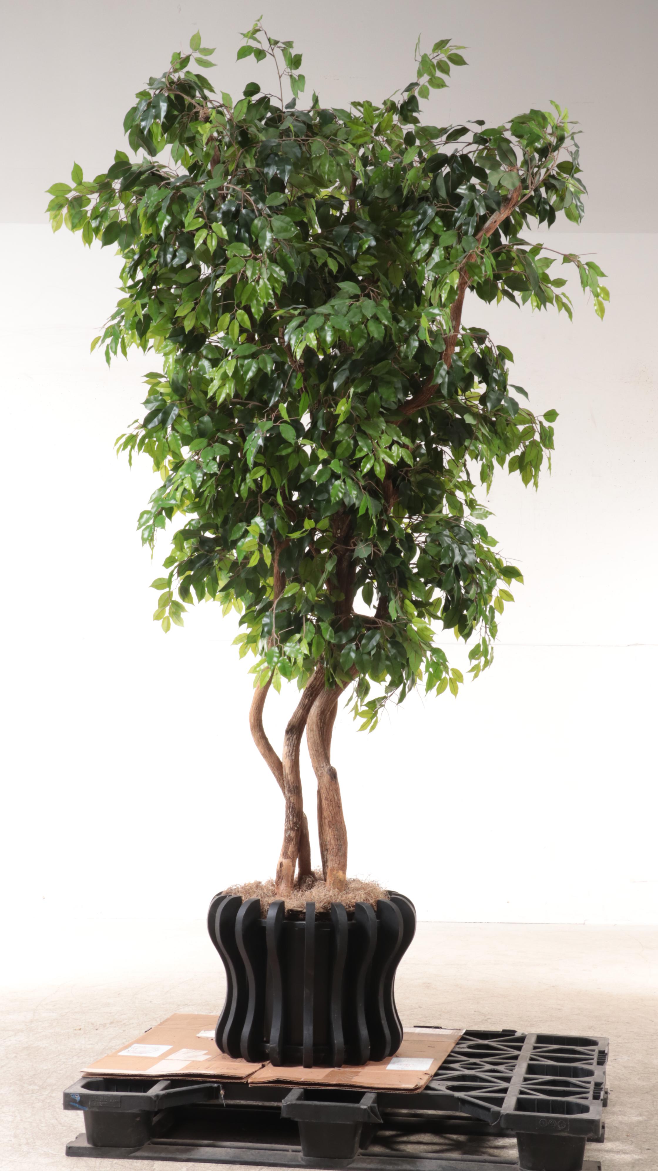 Artificial 9' Ficus Tree in Planter