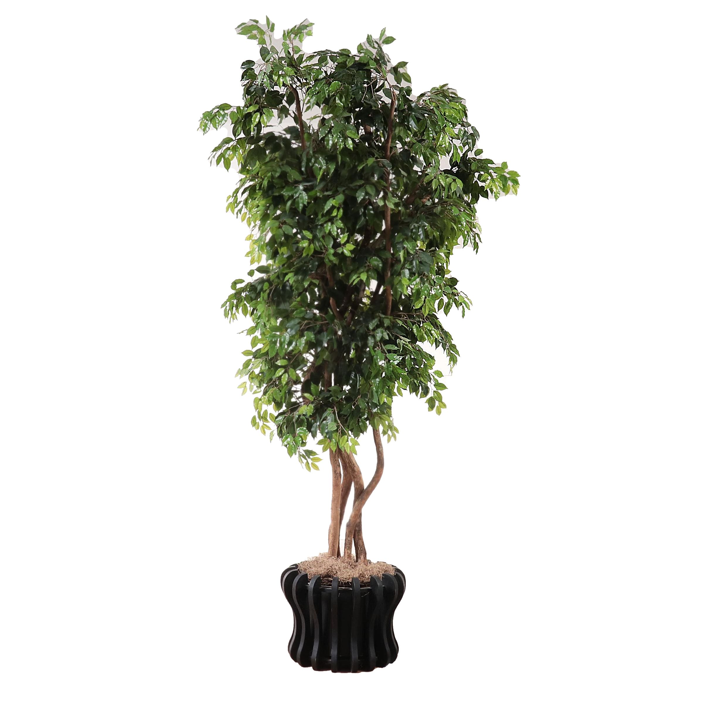 Artificial 9' Ficus Tree in Planter