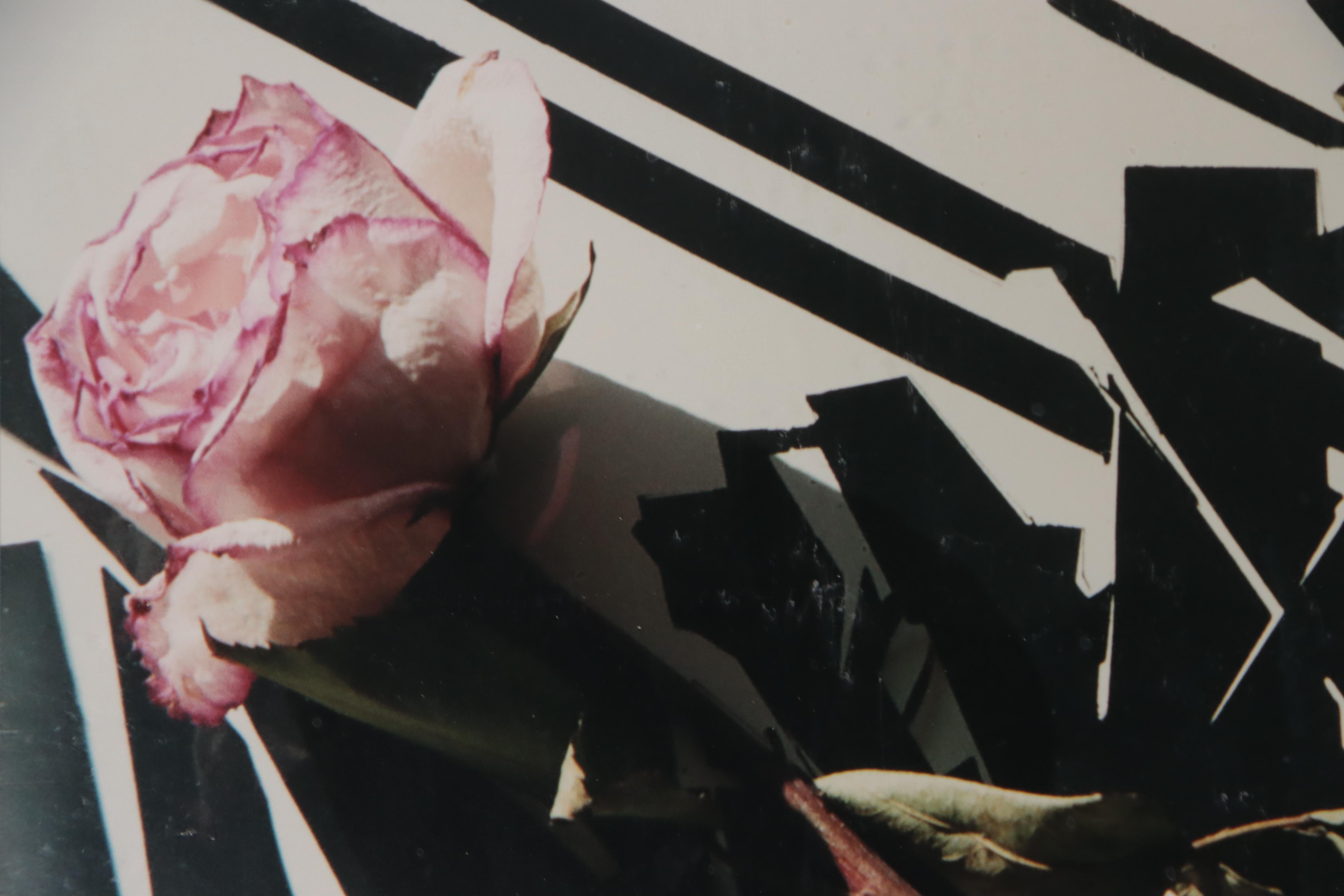 Bernyce Alpert Winick Silver Print "Scorréndo"