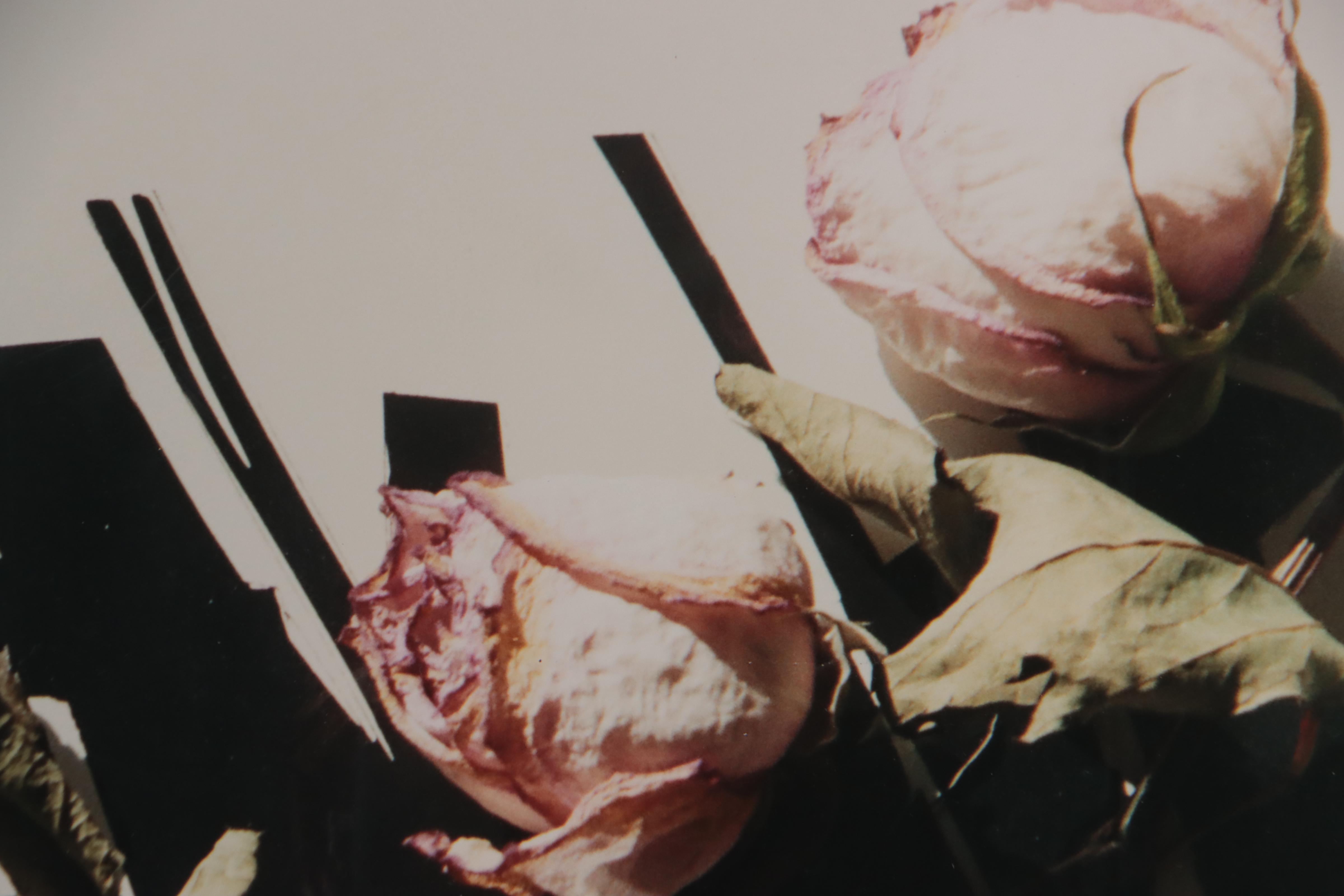 Bernyce Alpert Winick Silver Print "Scorréndo"