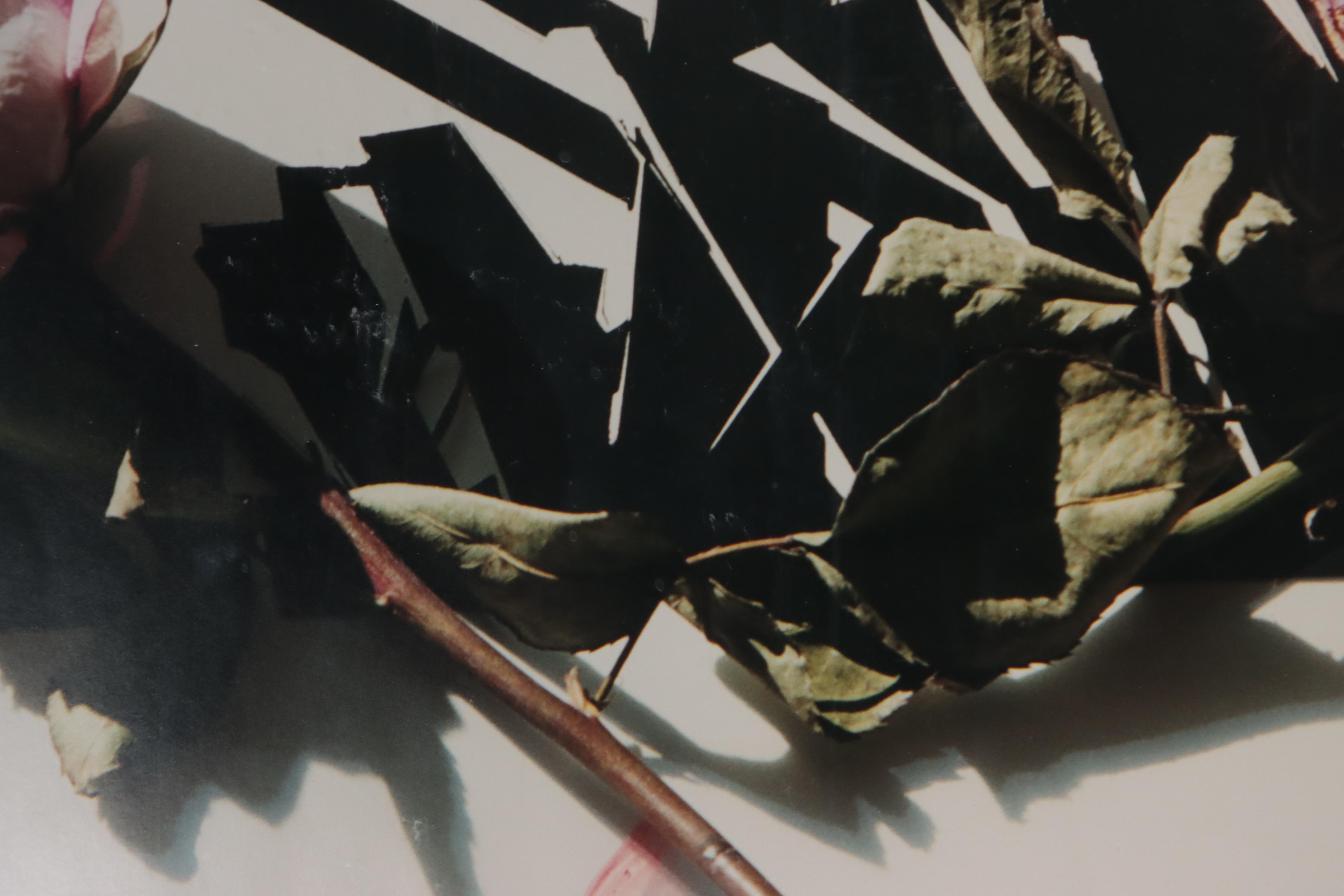 Bernyce Alpert Winick Silver Print "Scorréndo"