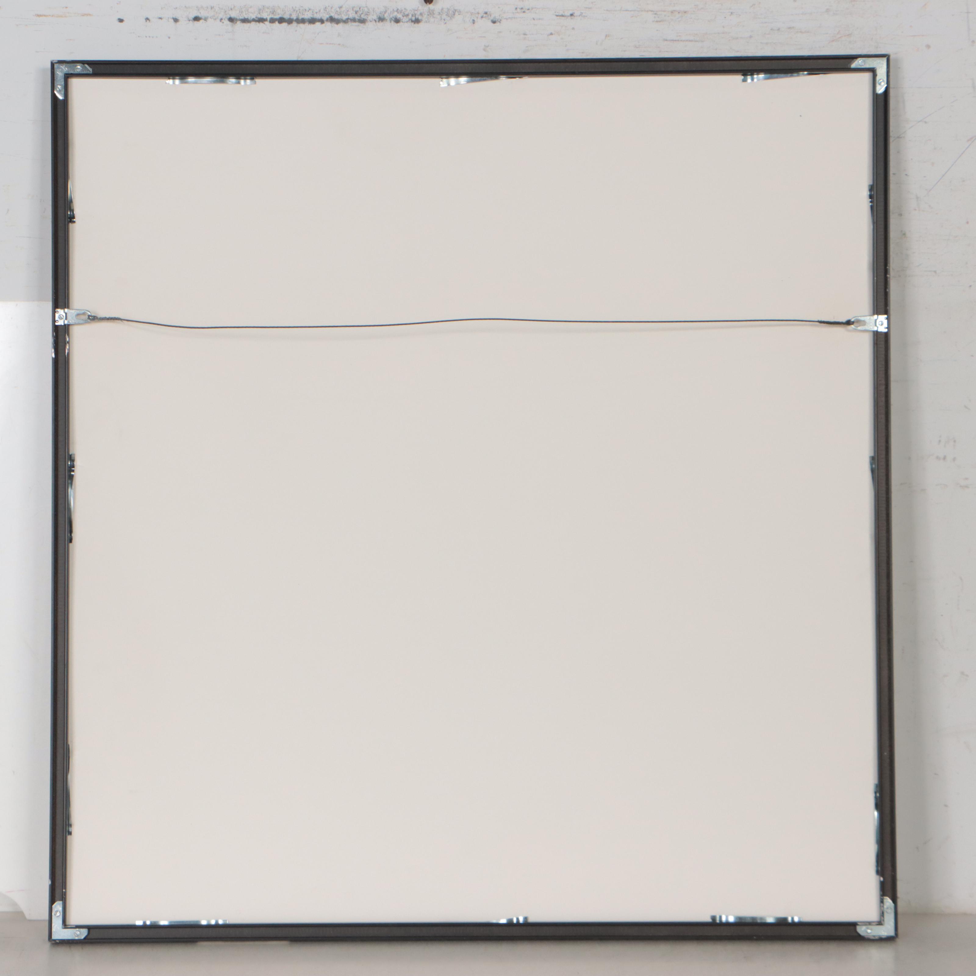 Bernyce Alpert Winick Silver Print "Scorréndo"