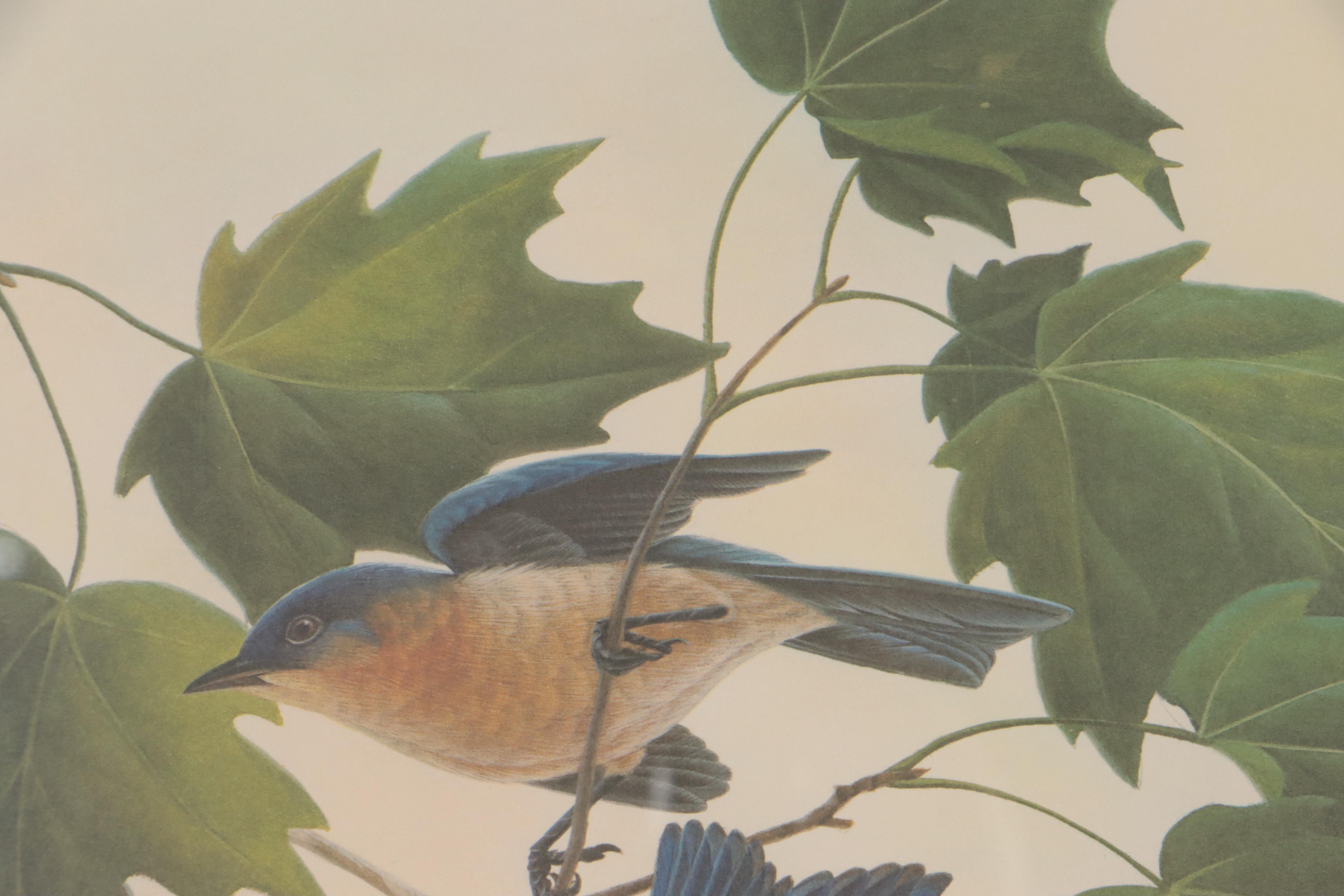 John Ruthven Offset Lithograph "New York State Bluebird"