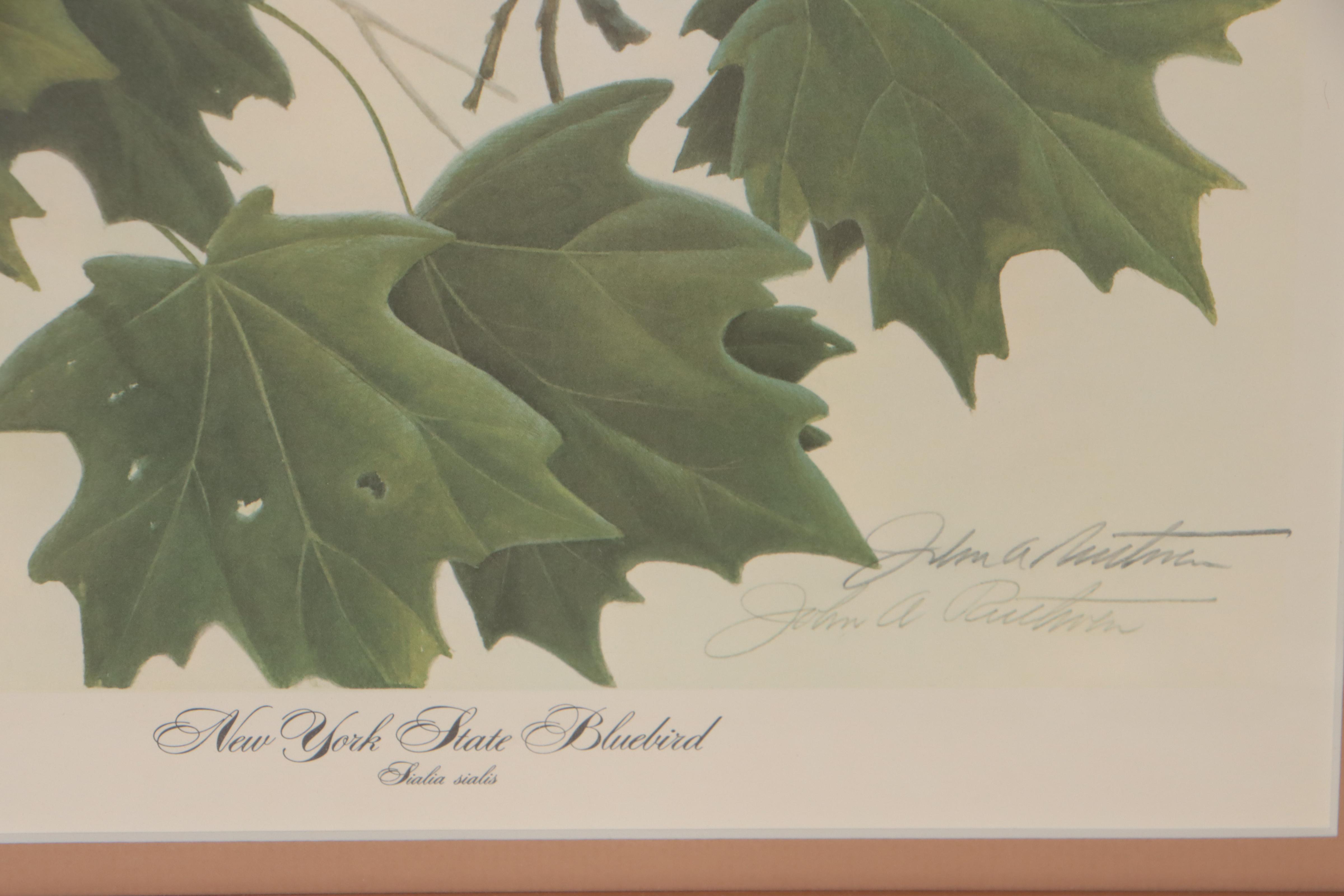 John Ruthven Offset Lithograph "New York State Bluebird"