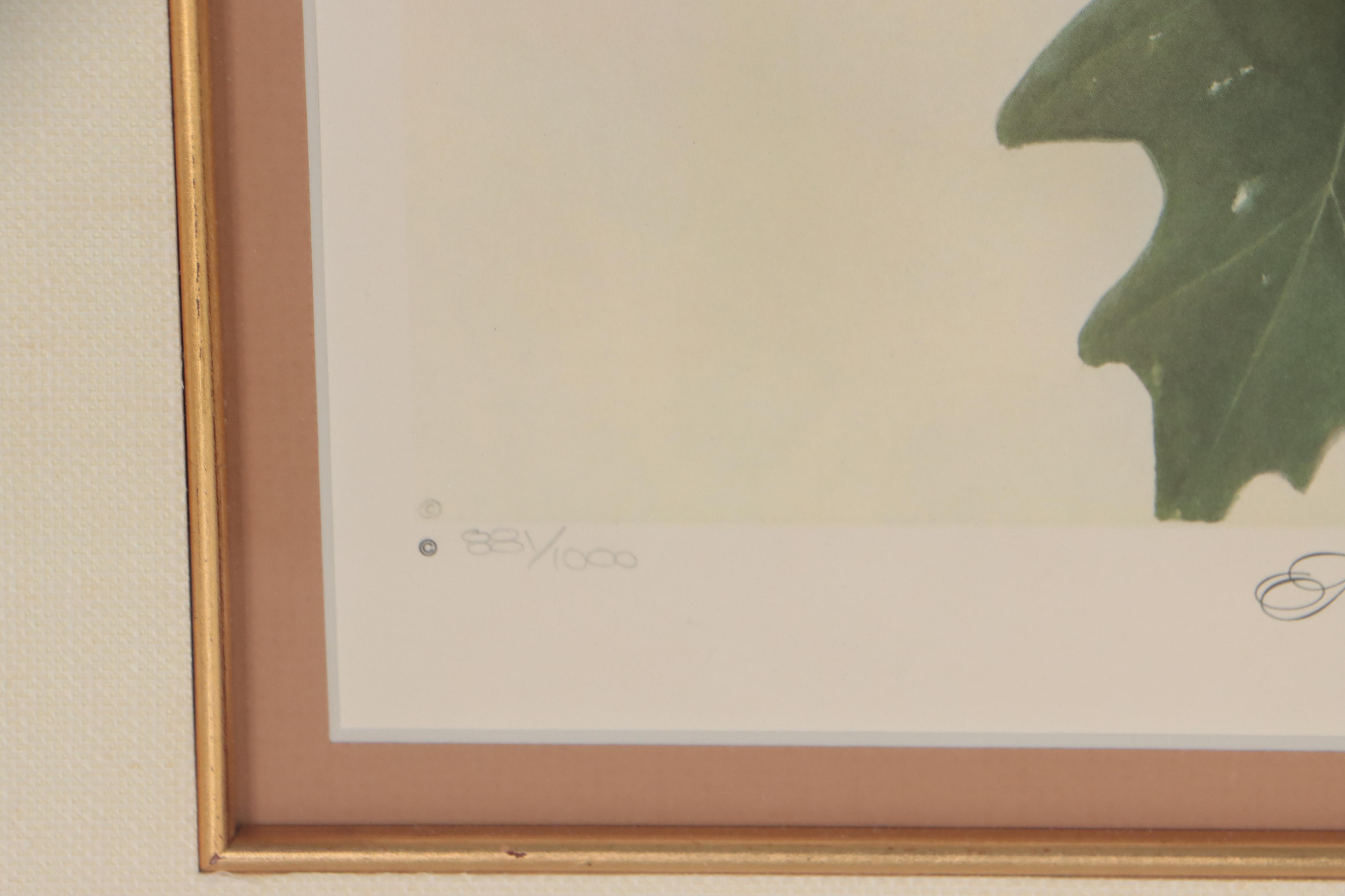 John Ruthven Offset Lithograph "New York State Bluebird"