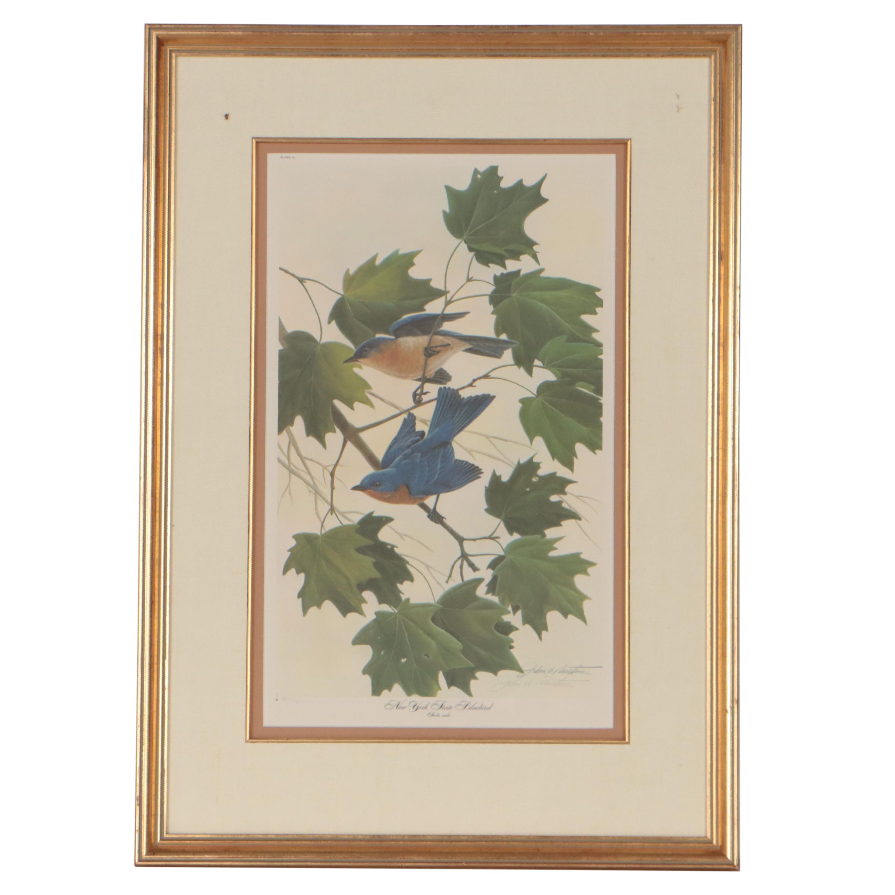 John Ruthven Offset Lithograph "New York State Bluebird"