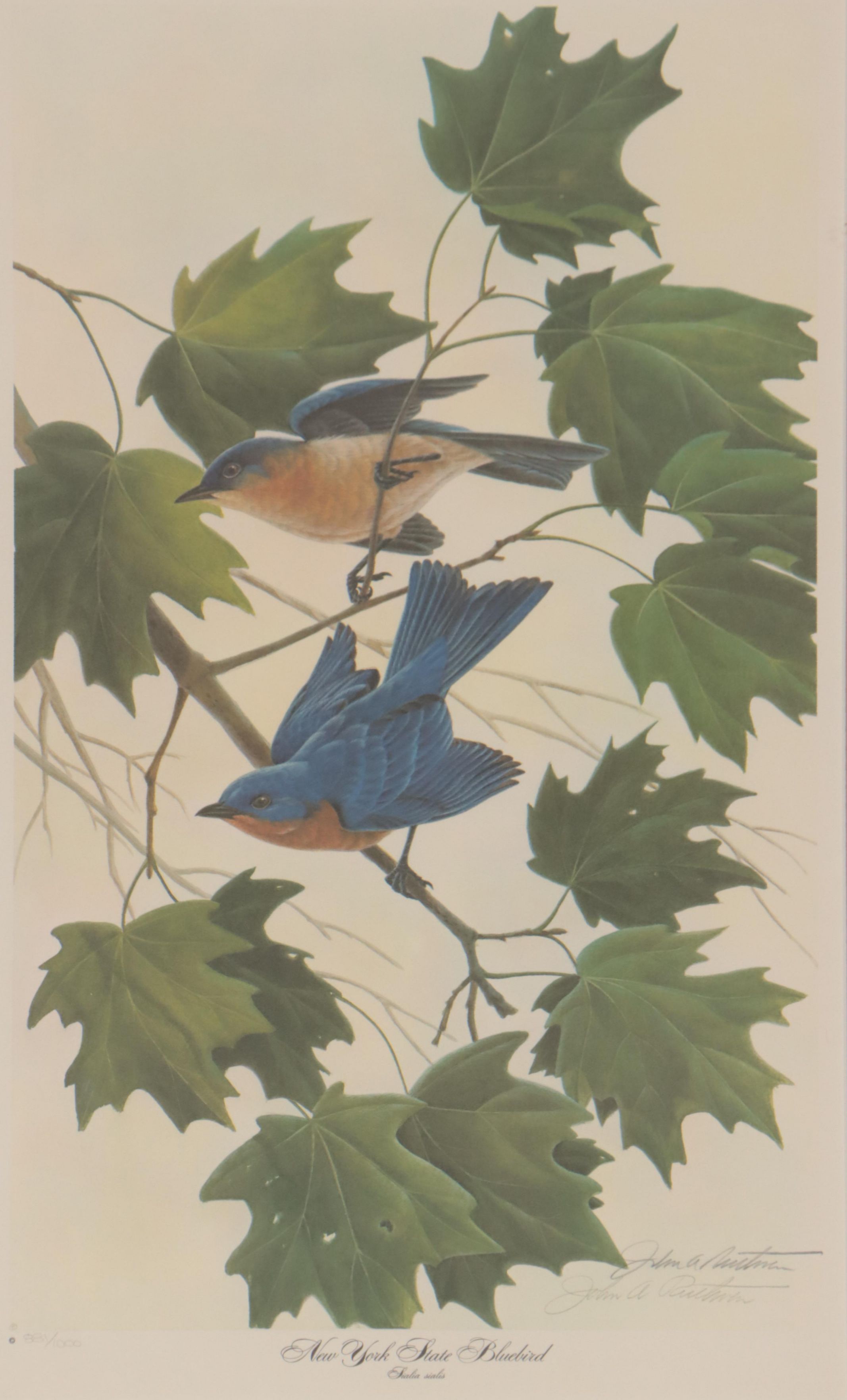 John Ruthven Offset Lithograph "New York State Bluebird"