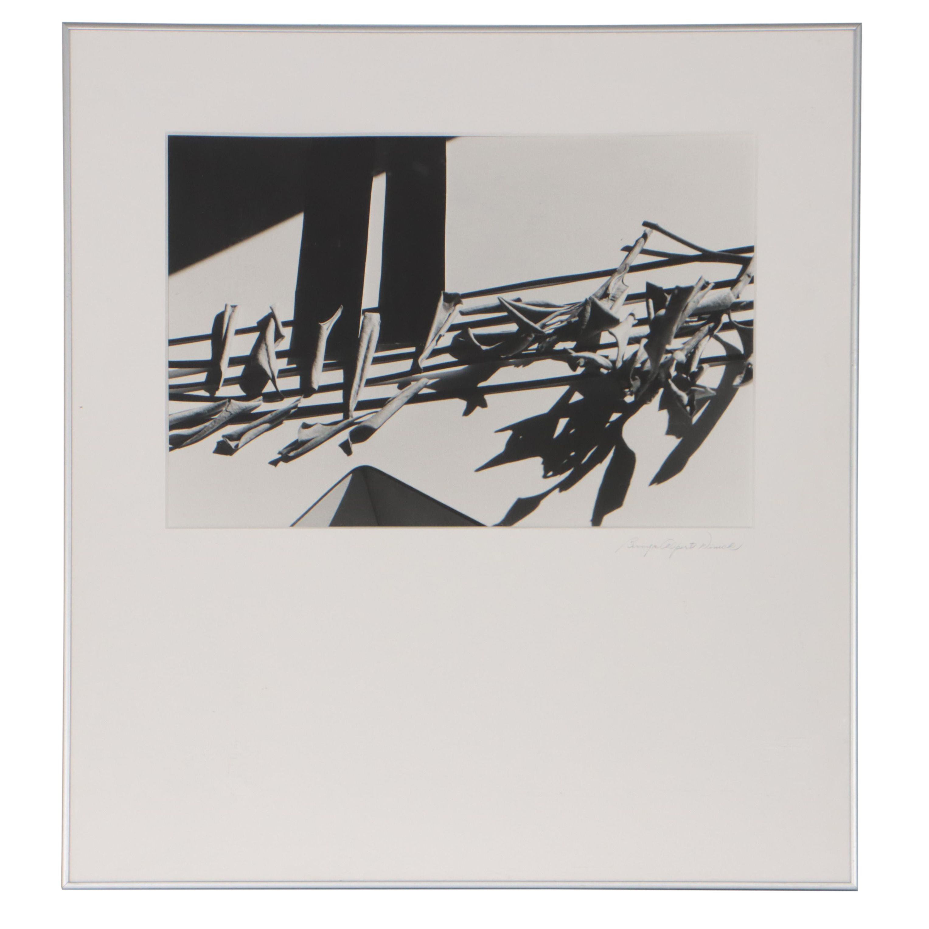 Bernyce Alpert Winick Silver Print "9/11 #3"