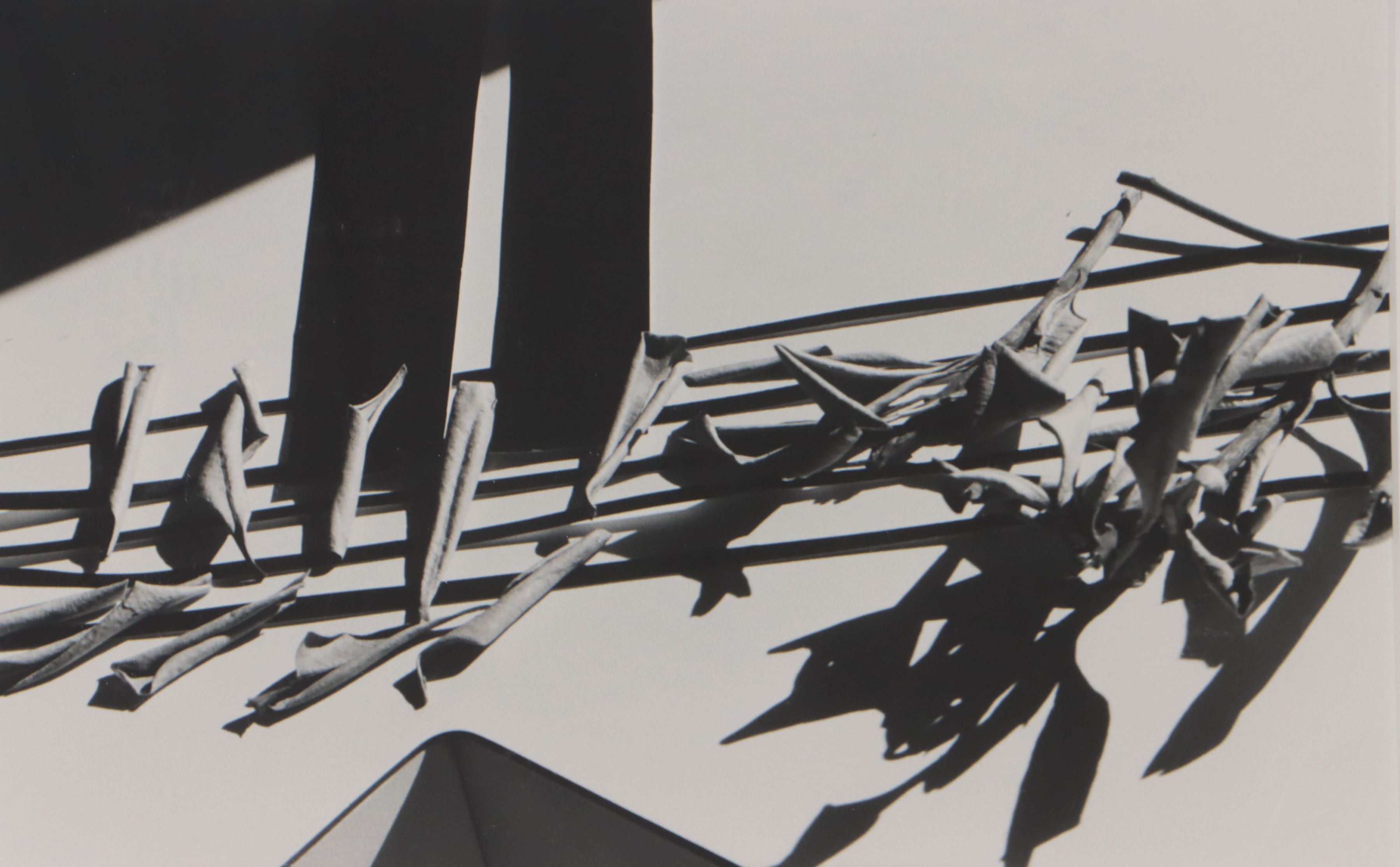 Bernyce Alpert Winick Silver Print "9/11 #3"