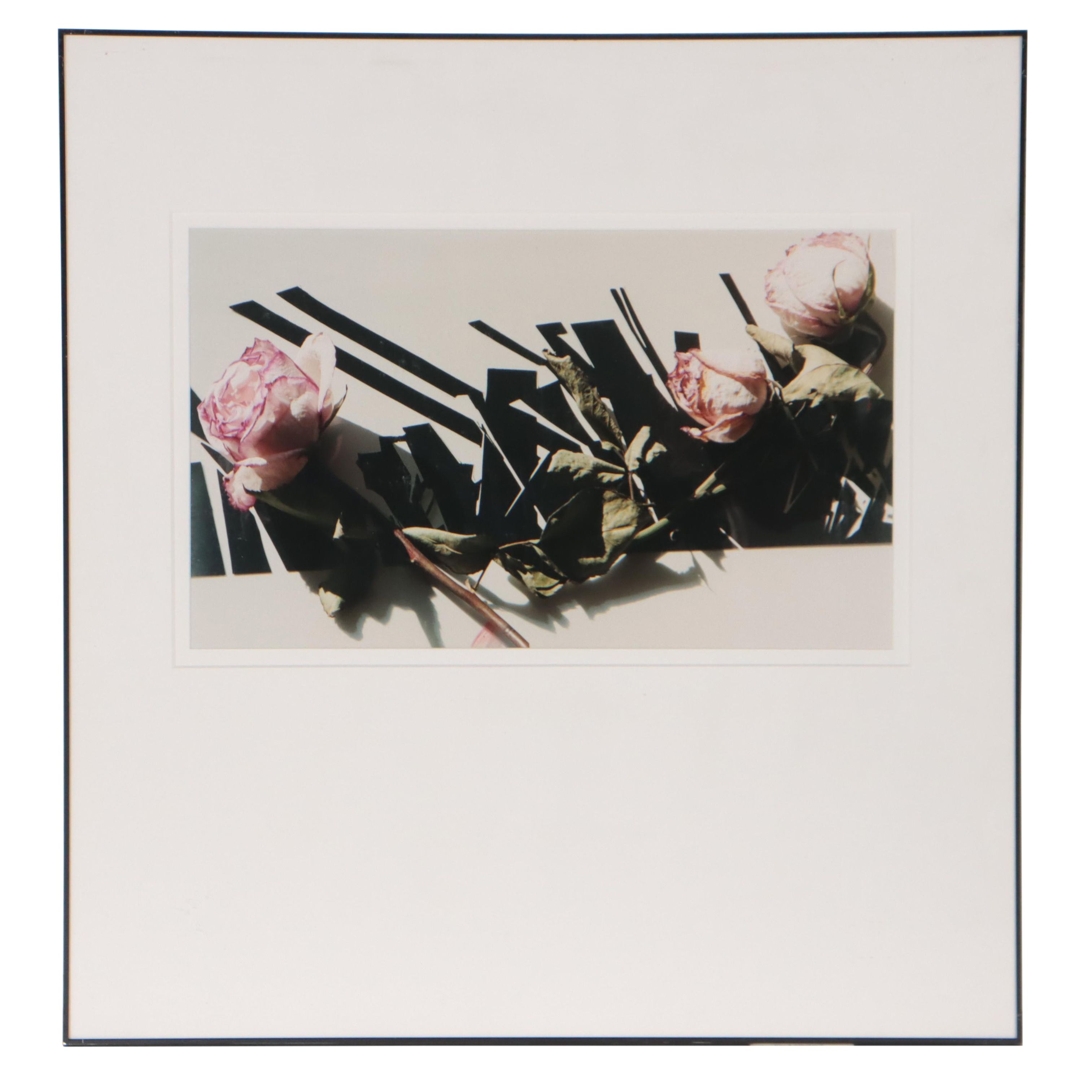 Bernyce Alpert Winick Silver Print "Scorréndo"