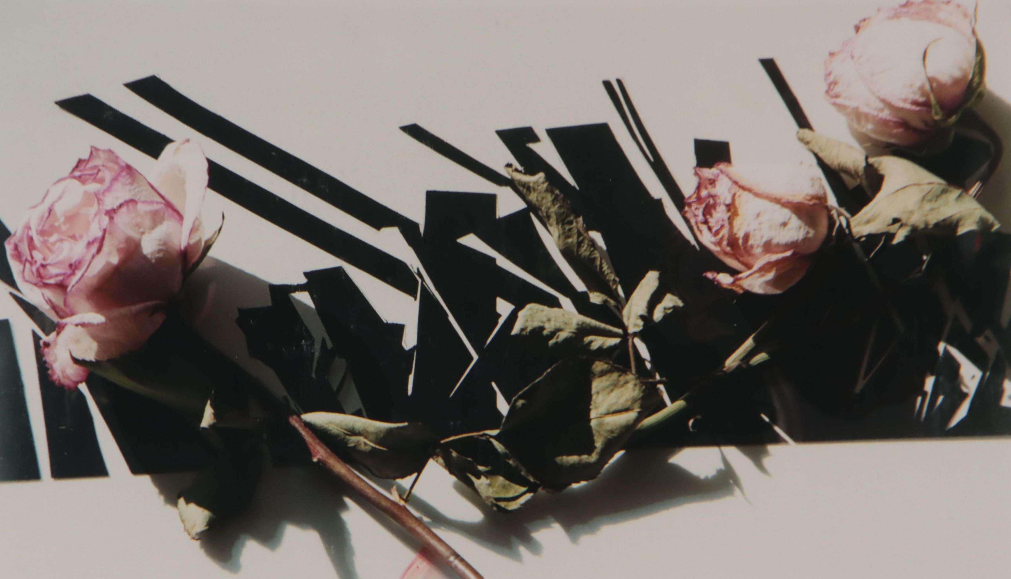 Bernyce Alpert Winick Silver Print "Scorréndo"