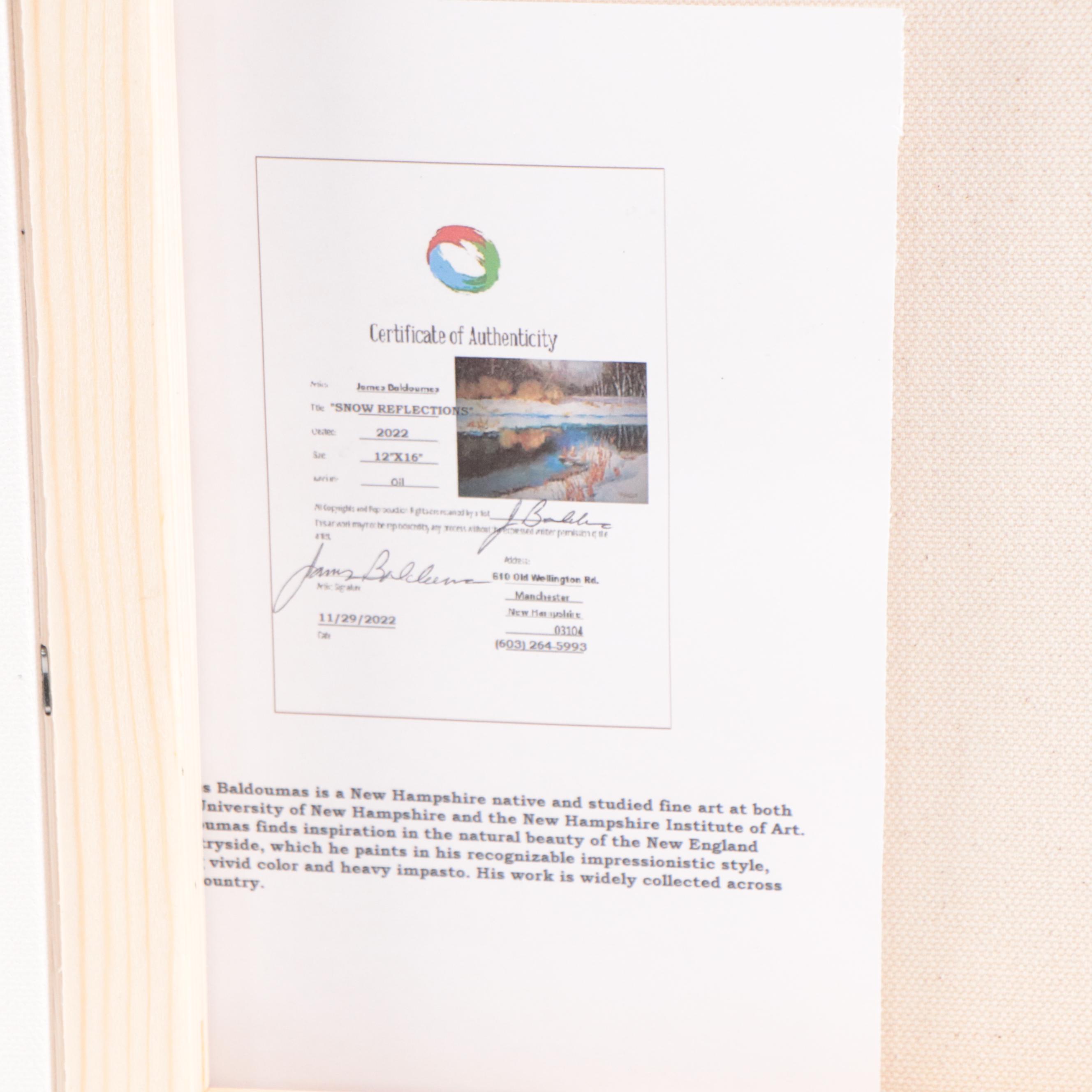 James Baldoumas Oil Painting "Snow Reflections," 2022