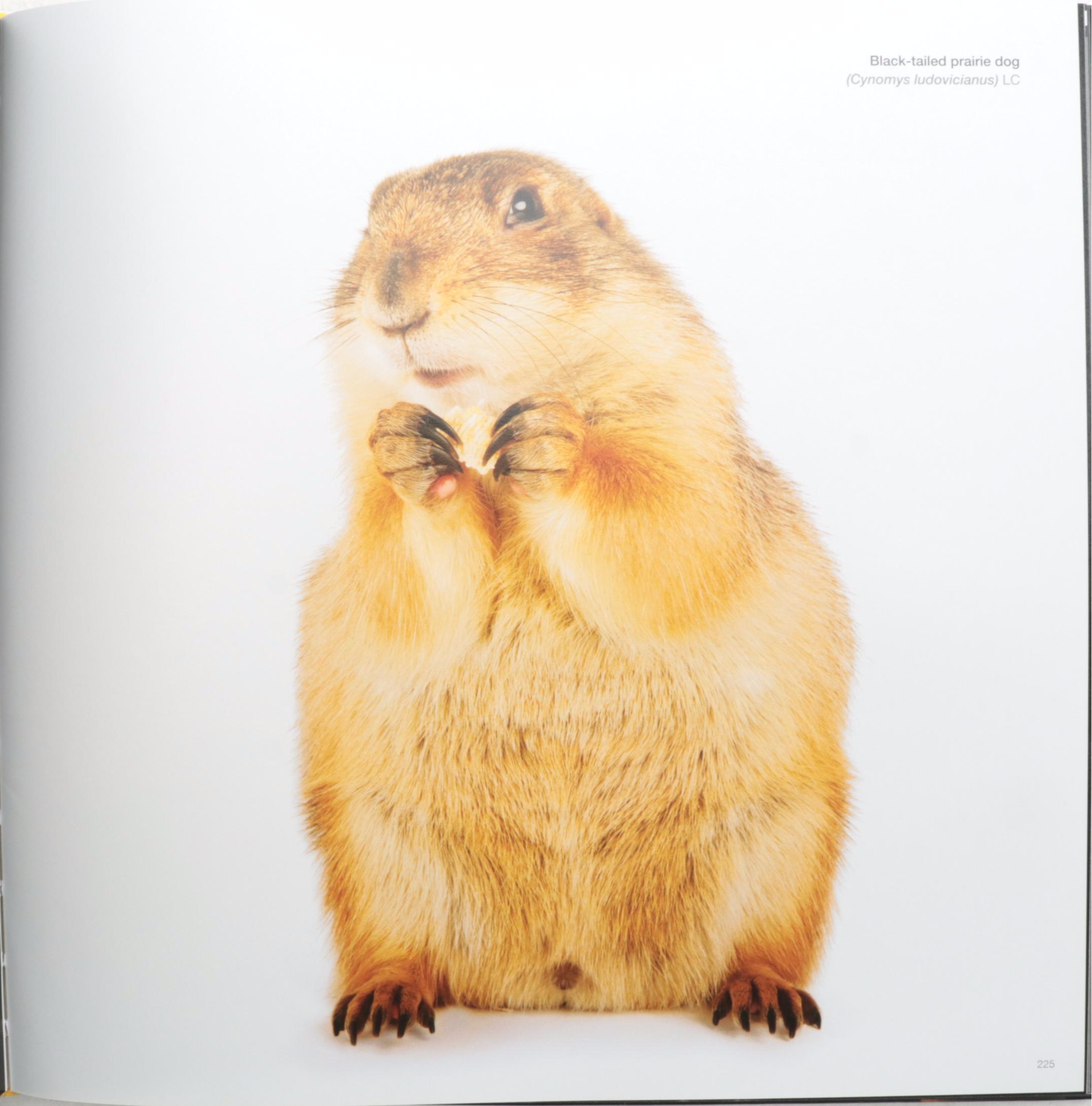 "Tales of Mystery and Imagination" by Edgar Allan Poe with "The Photo Ark"