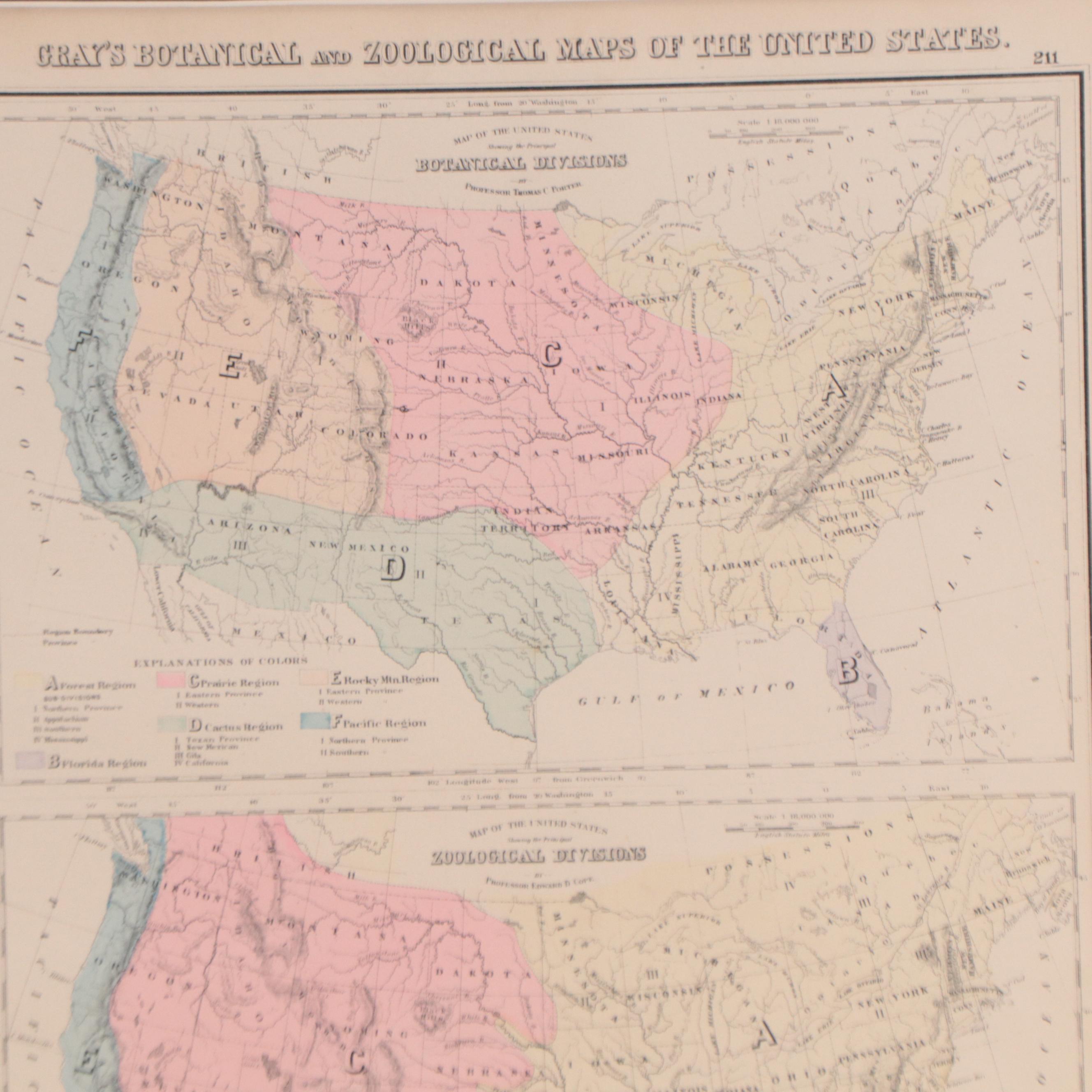"Gray's Botanical and Zoological Maps of the United States" Map, Circa 1877