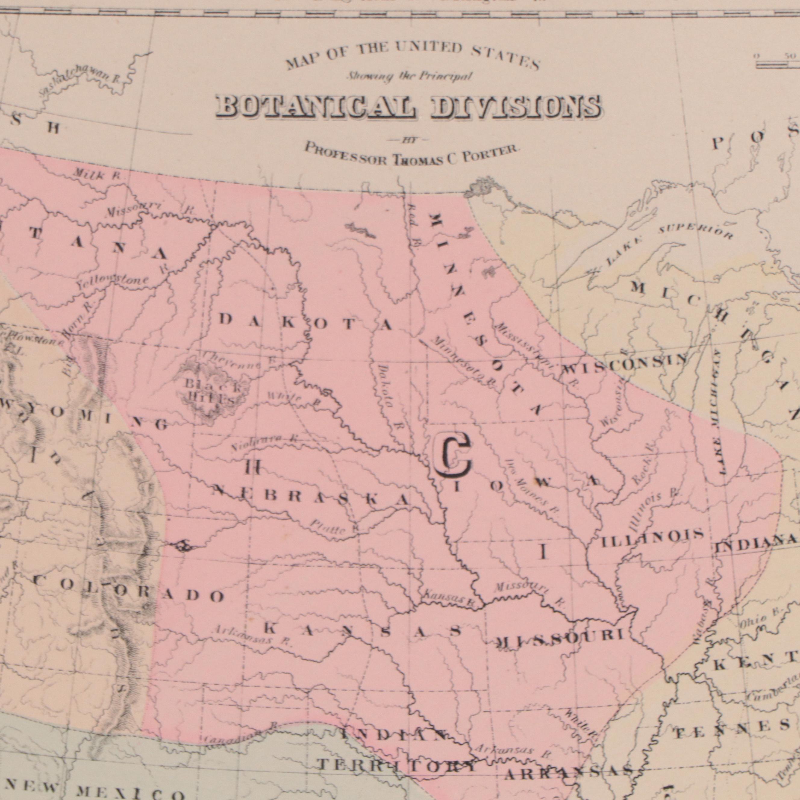 "Gray's Botanical and Zoological Maps of the United States" Map, Circa 1877