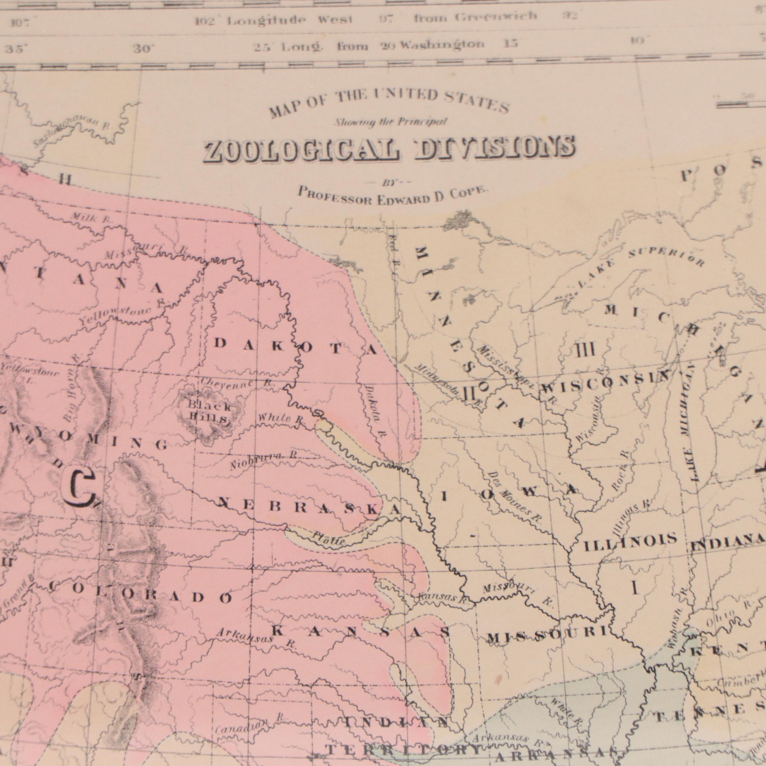 "Gray's Botanical and Zoological Maps of the United States" Map, Circa 1877