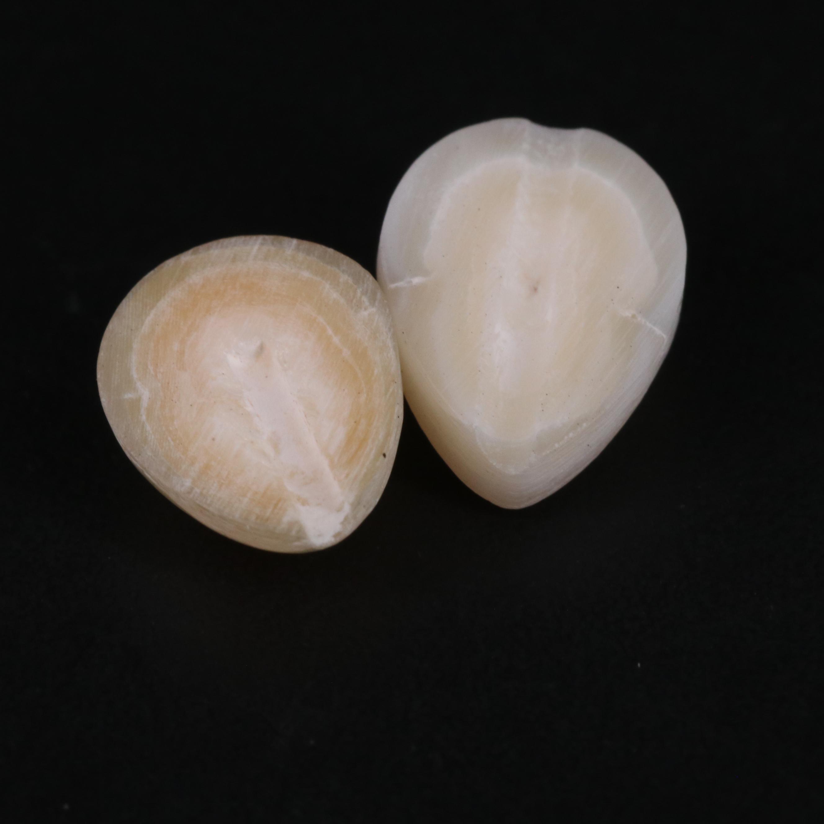 Loose 16.90 CTW Pearl