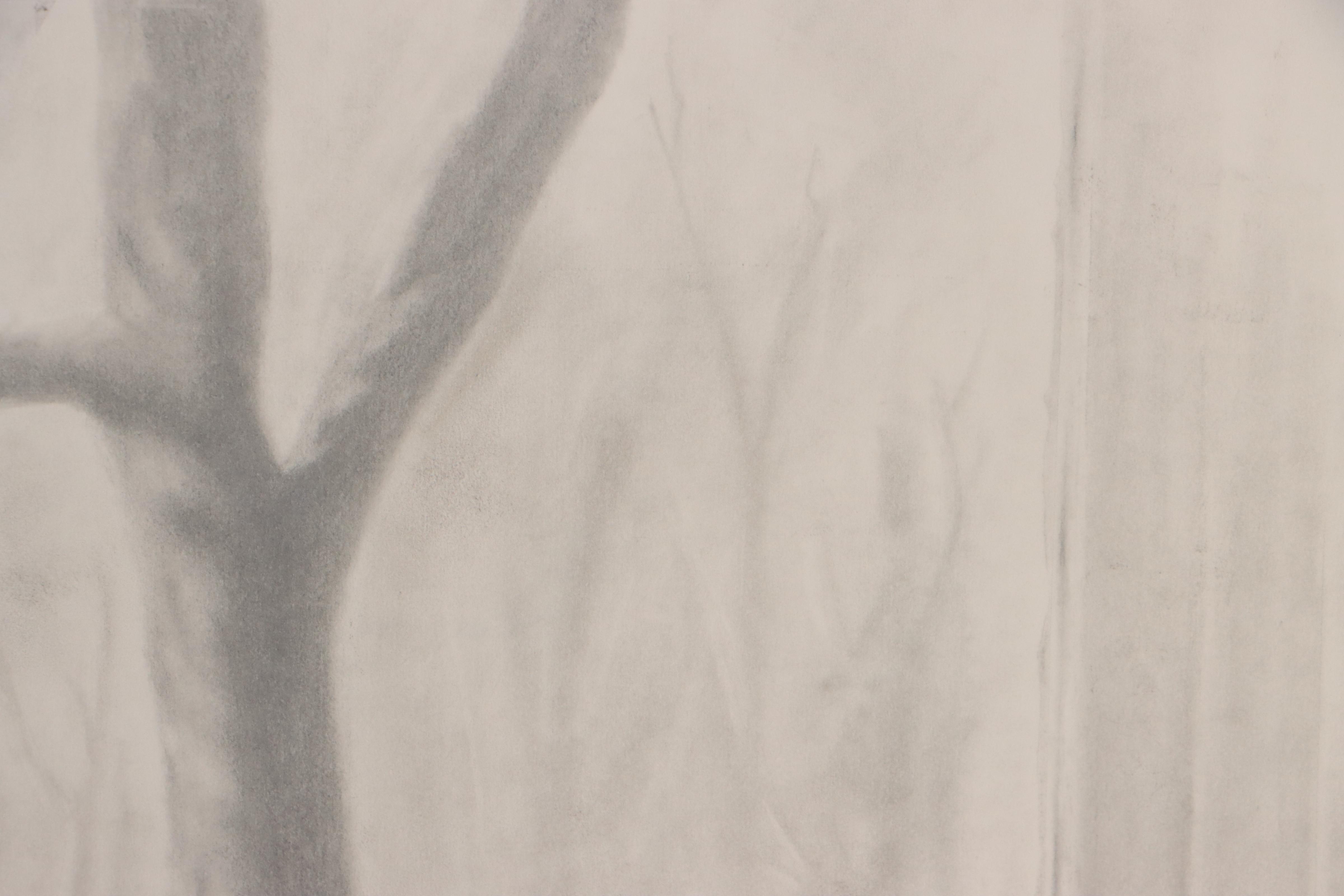 Cynthia Gregory Graphite Drawing "Front Window - Garrard Street"