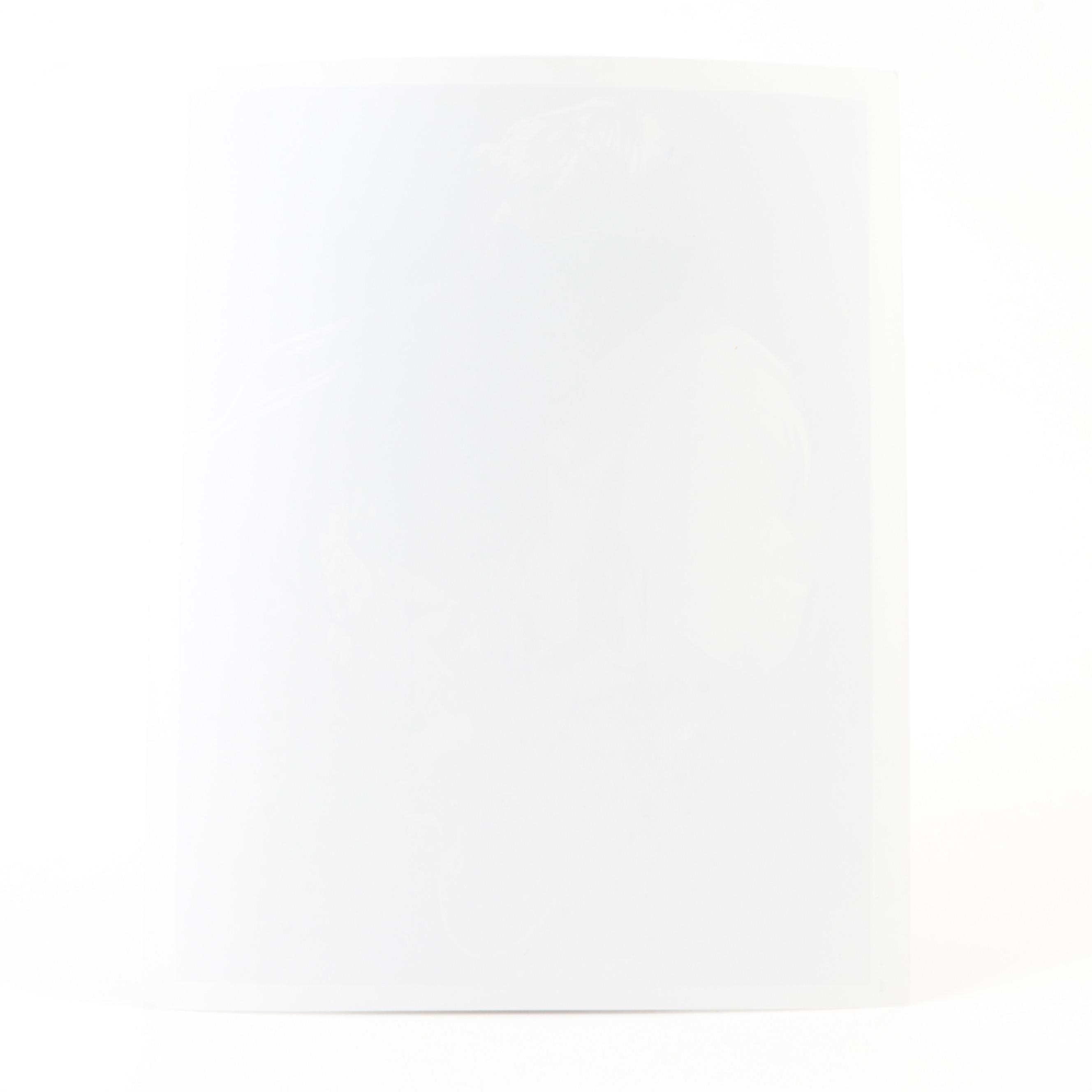 Steve Miller Signed Giclée Print