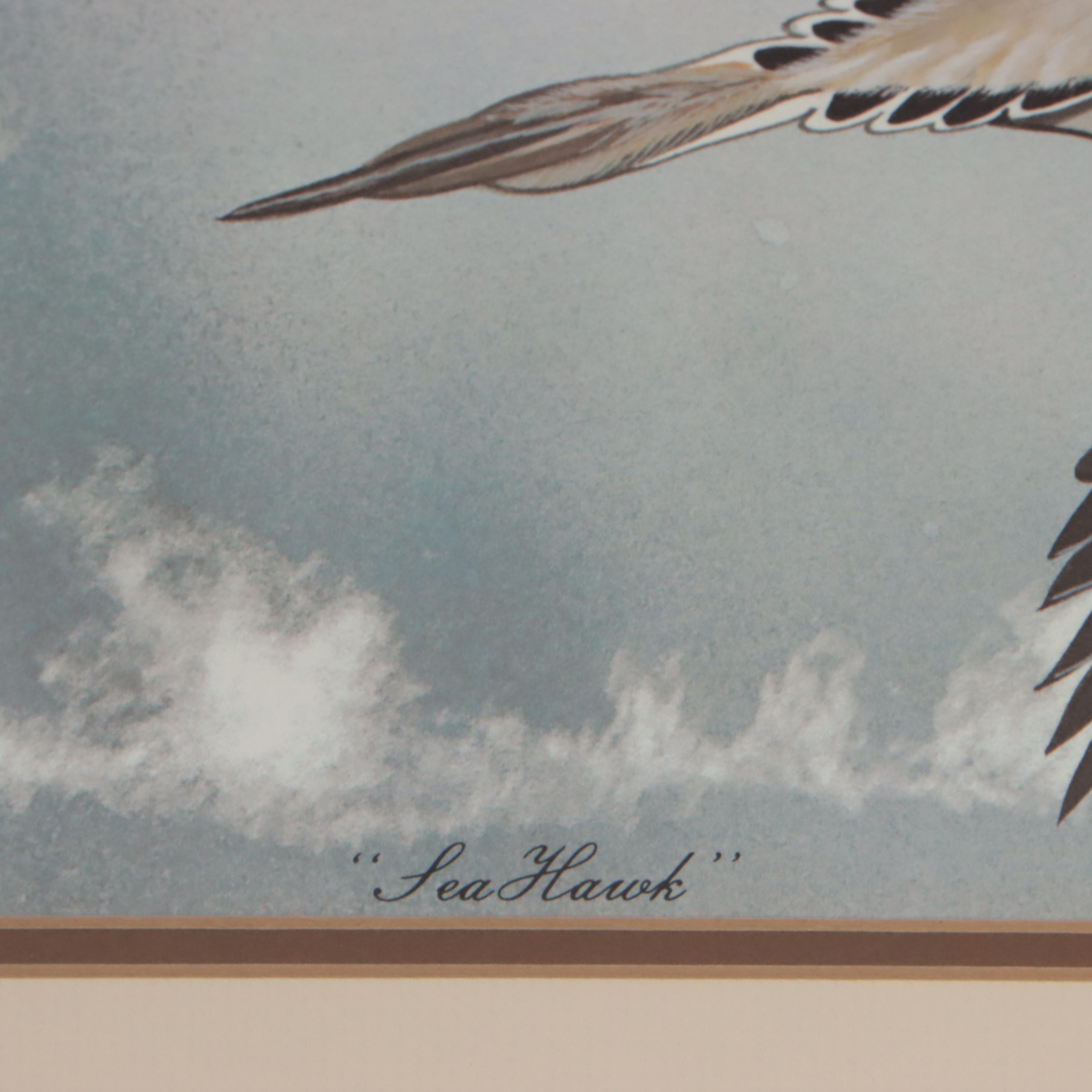 Gene Gray Offset Lithograph "Sea Hawk," 1980