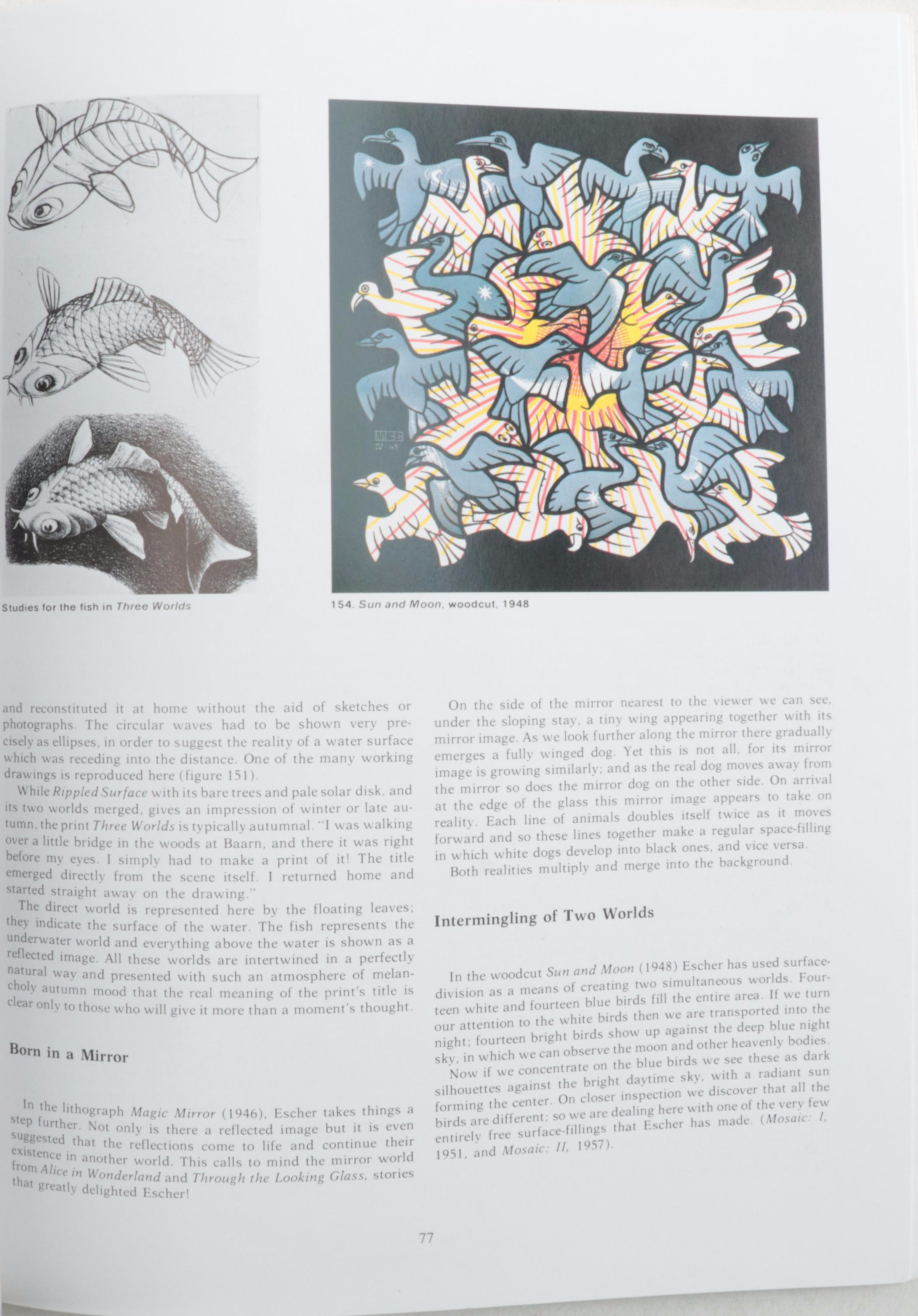 "The Magic Mirror of M.C. Escher" and "Visions of Symmetry"
