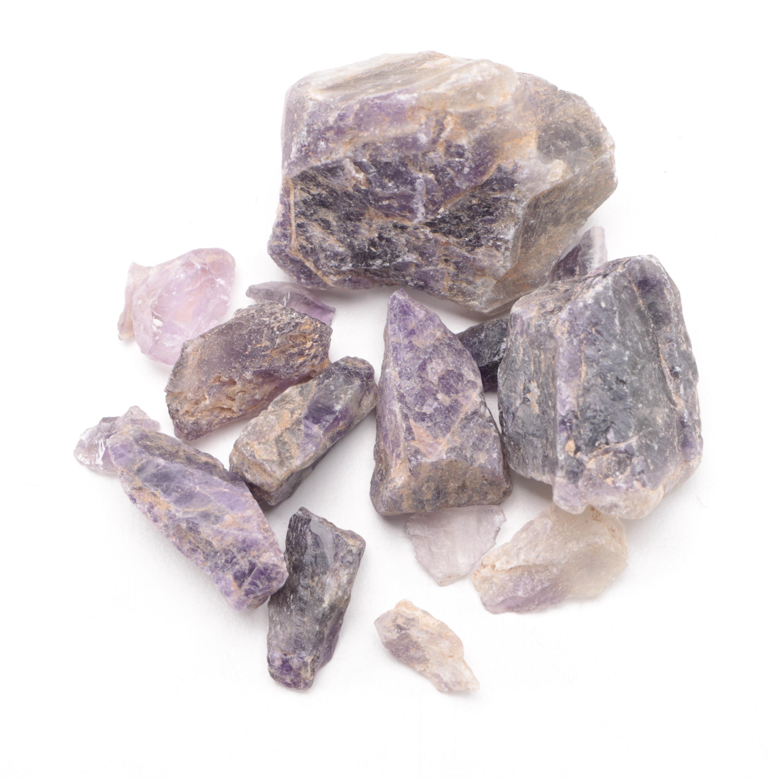 Seashell Boxes and Trivets with Mineral Specimens and Pressed Flowers