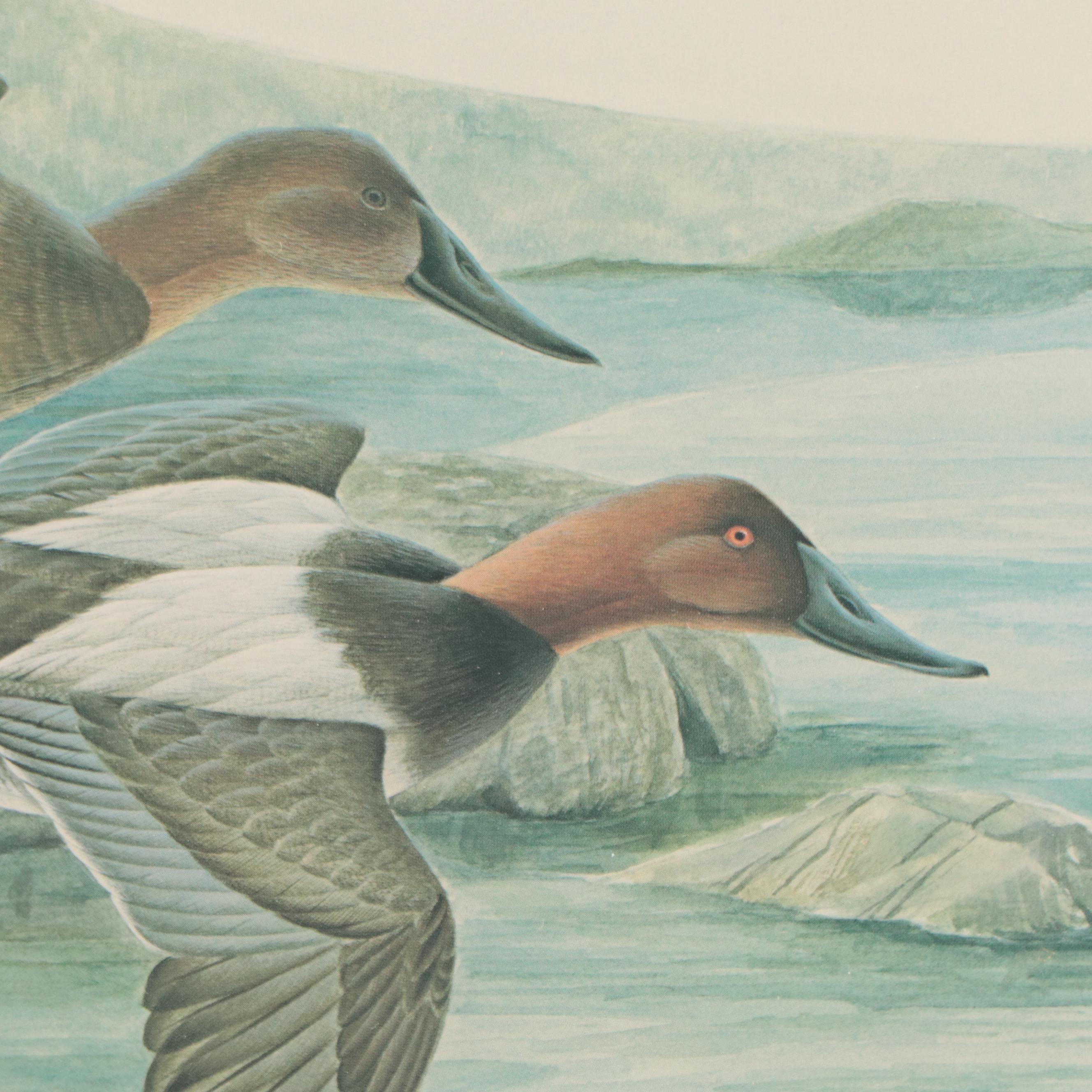 John A. Ruthven Offset Lithograph With Stamp "Ducks Unlimited," 1984