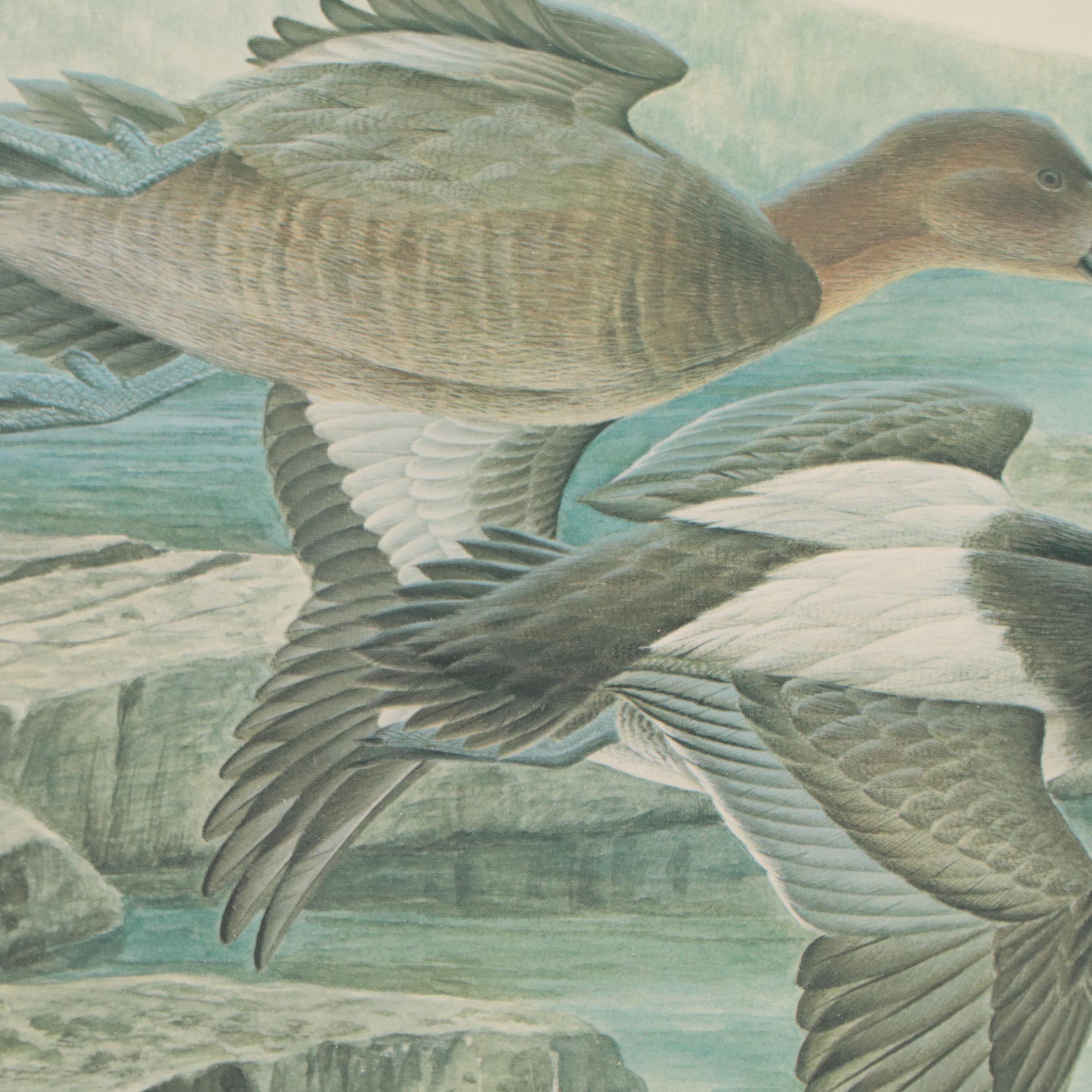 John A. Ruthven Offset Lithograph With Stamp "Ducks Unlimited," 1984