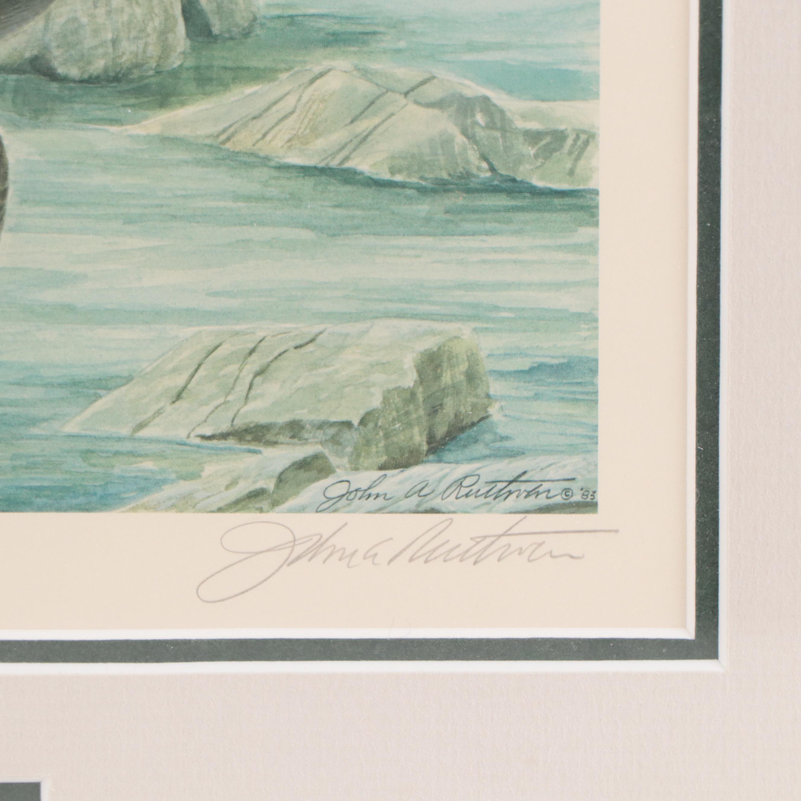 John A. Ruthven Offset Lithograph With Stamp "Ducks Unlimited," 1984