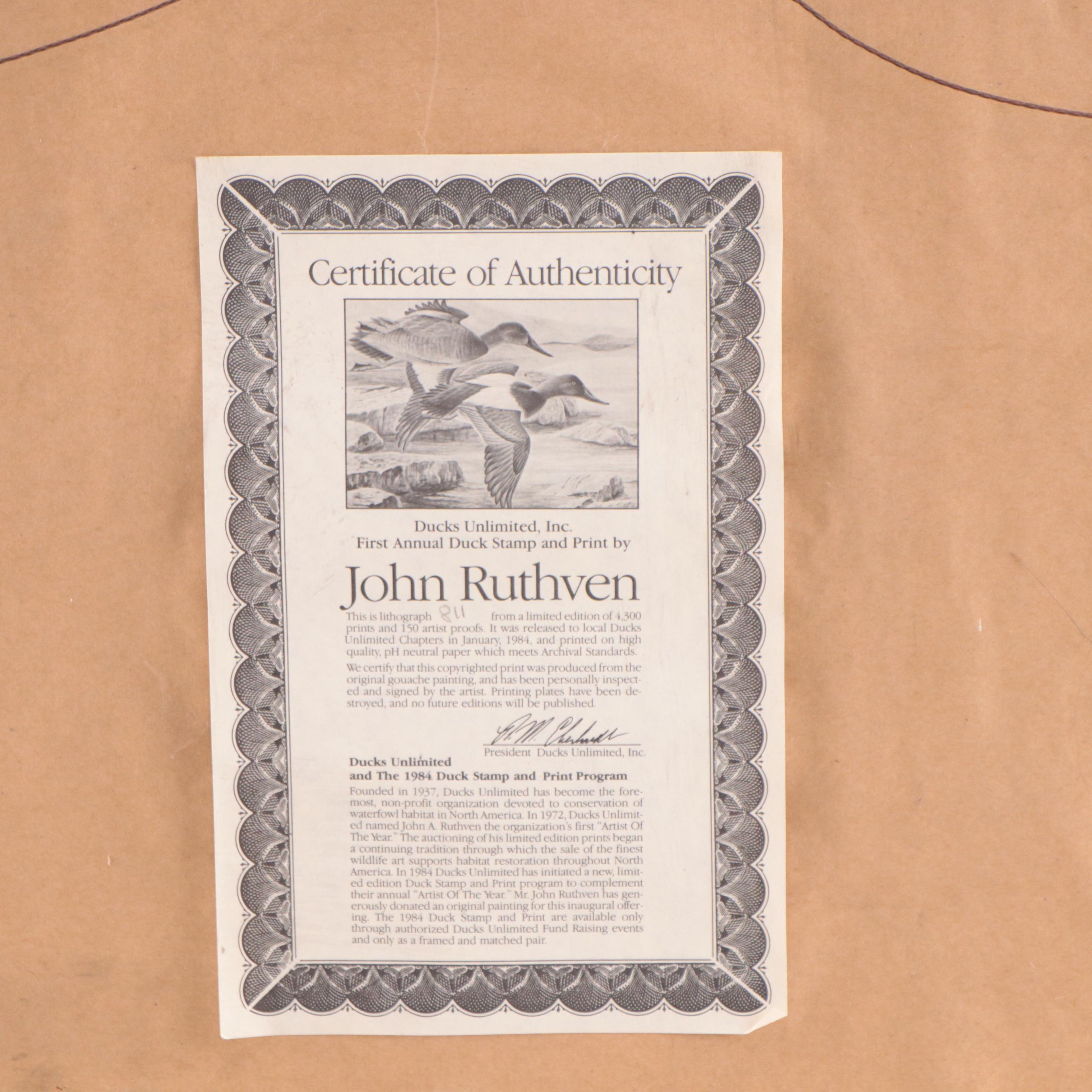 John A. Ruthven Offset Lithograph With Stamp "Ducks Unlimited," 1984