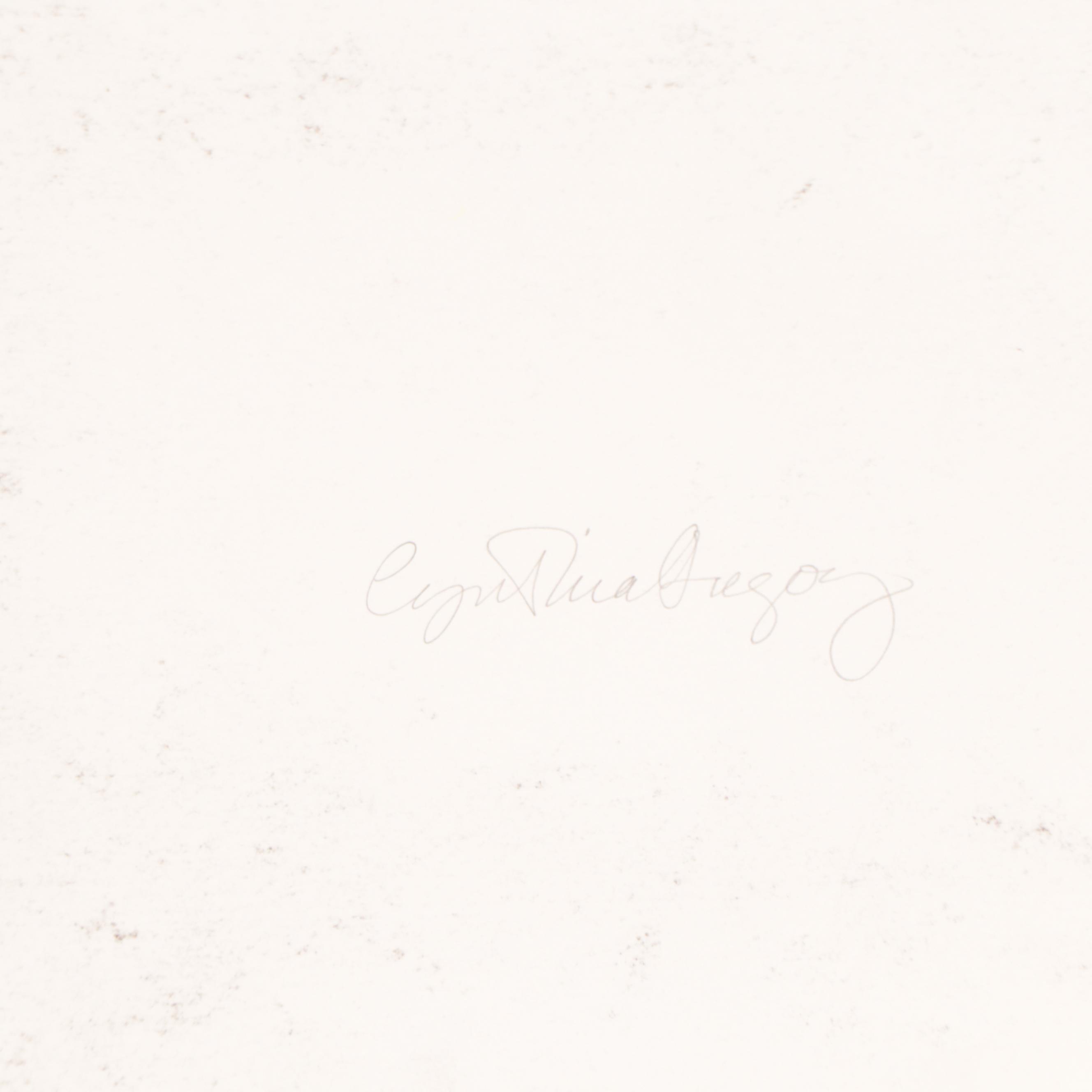 Cynthia Gregory Graphite Drawing of Shirt