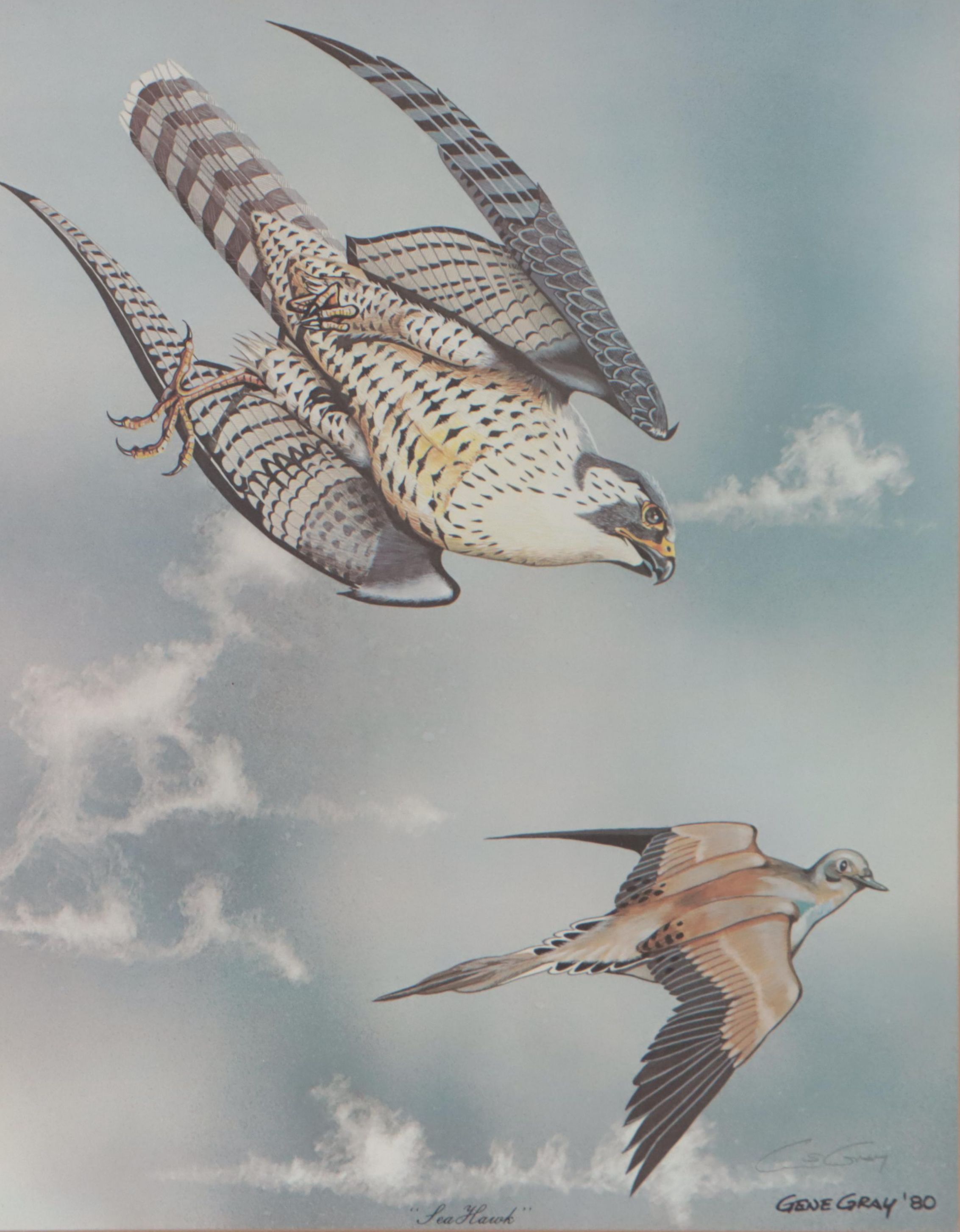 Gene Gray Offset Lithograph "Sea Hawk," 1980