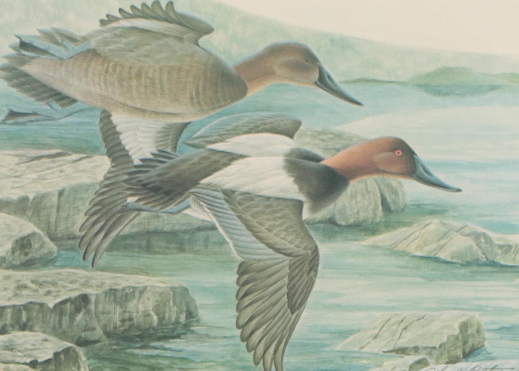 John A. Ruthven Offset Lithograph With Stamp "Ducks Unlimited," 1984