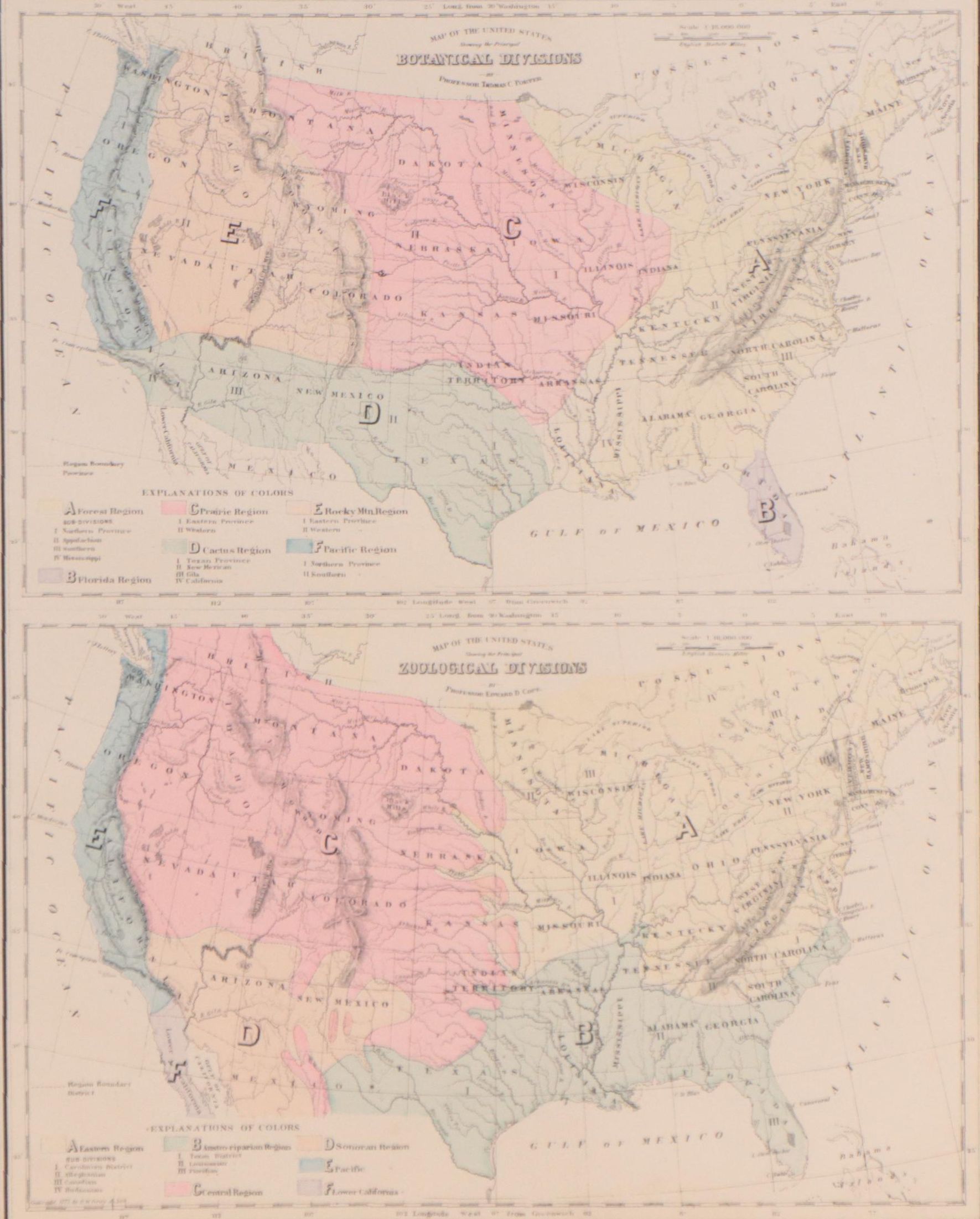 "Gray's Botanical and Zoological Maps of the United States" Map, Circa 1877