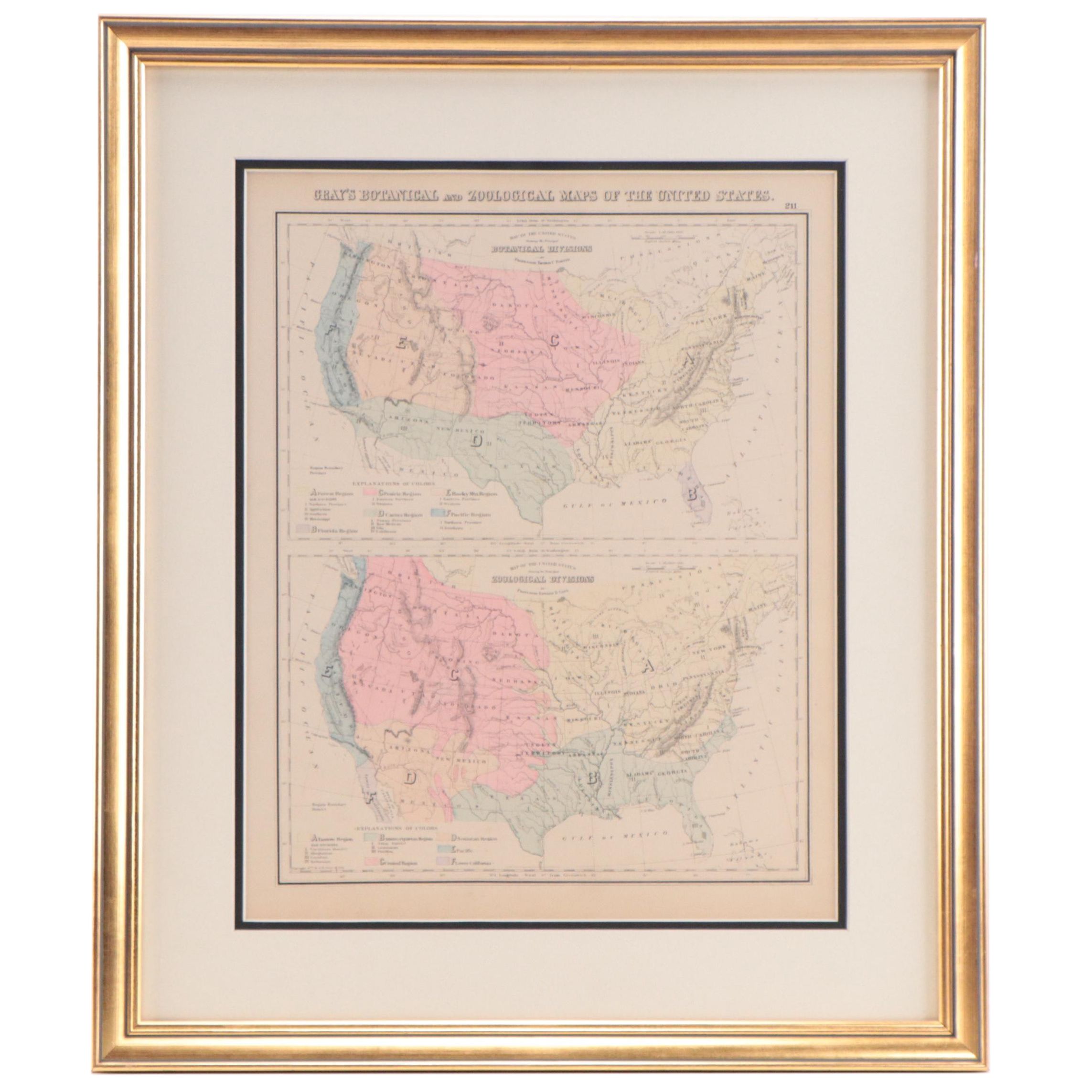 "Gray's Botanical and Zoological Maps of the United States" Map, Circa 1877