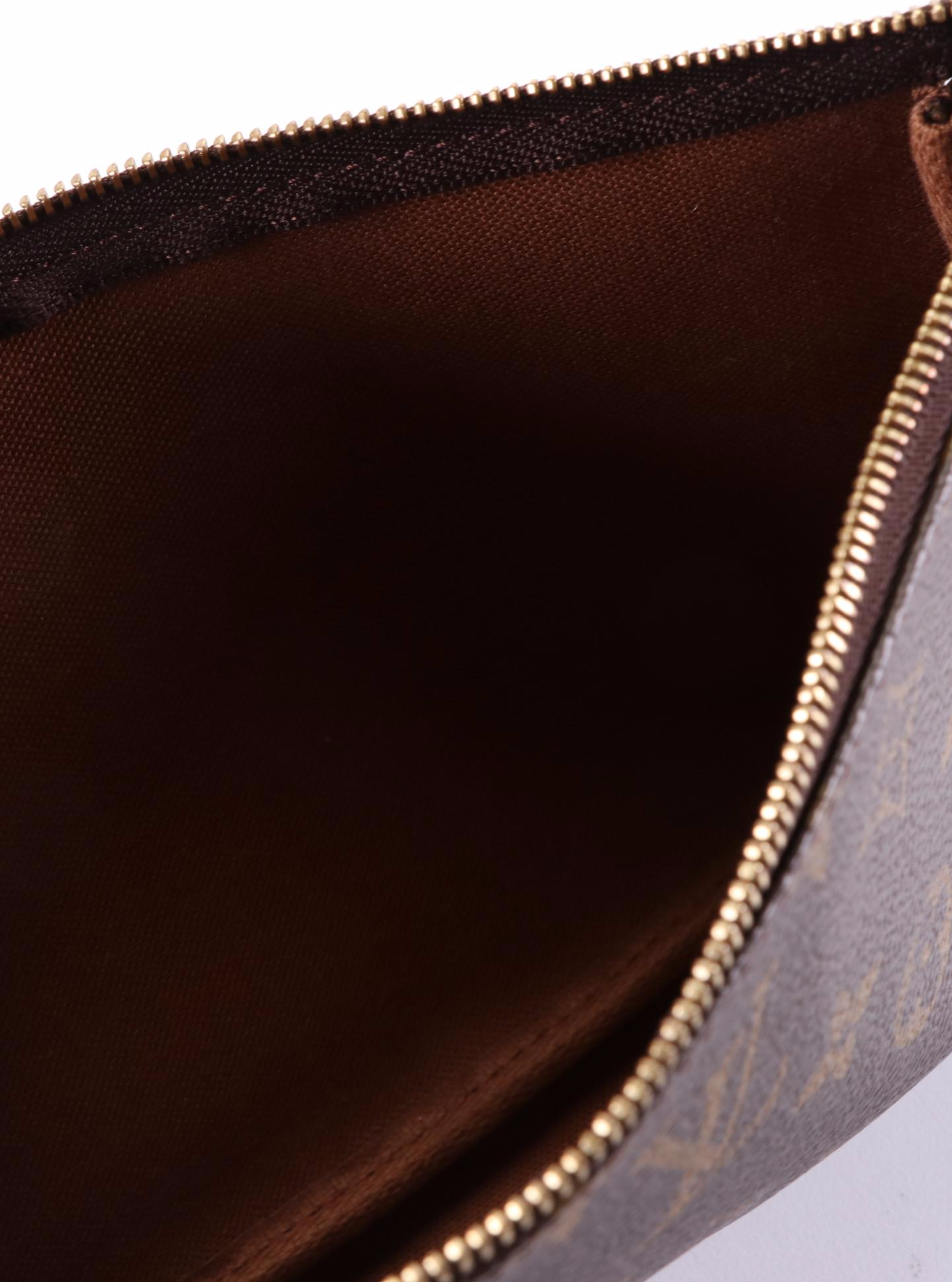 Louis Vuitton Pochette Accessoires in Monogram Canvas