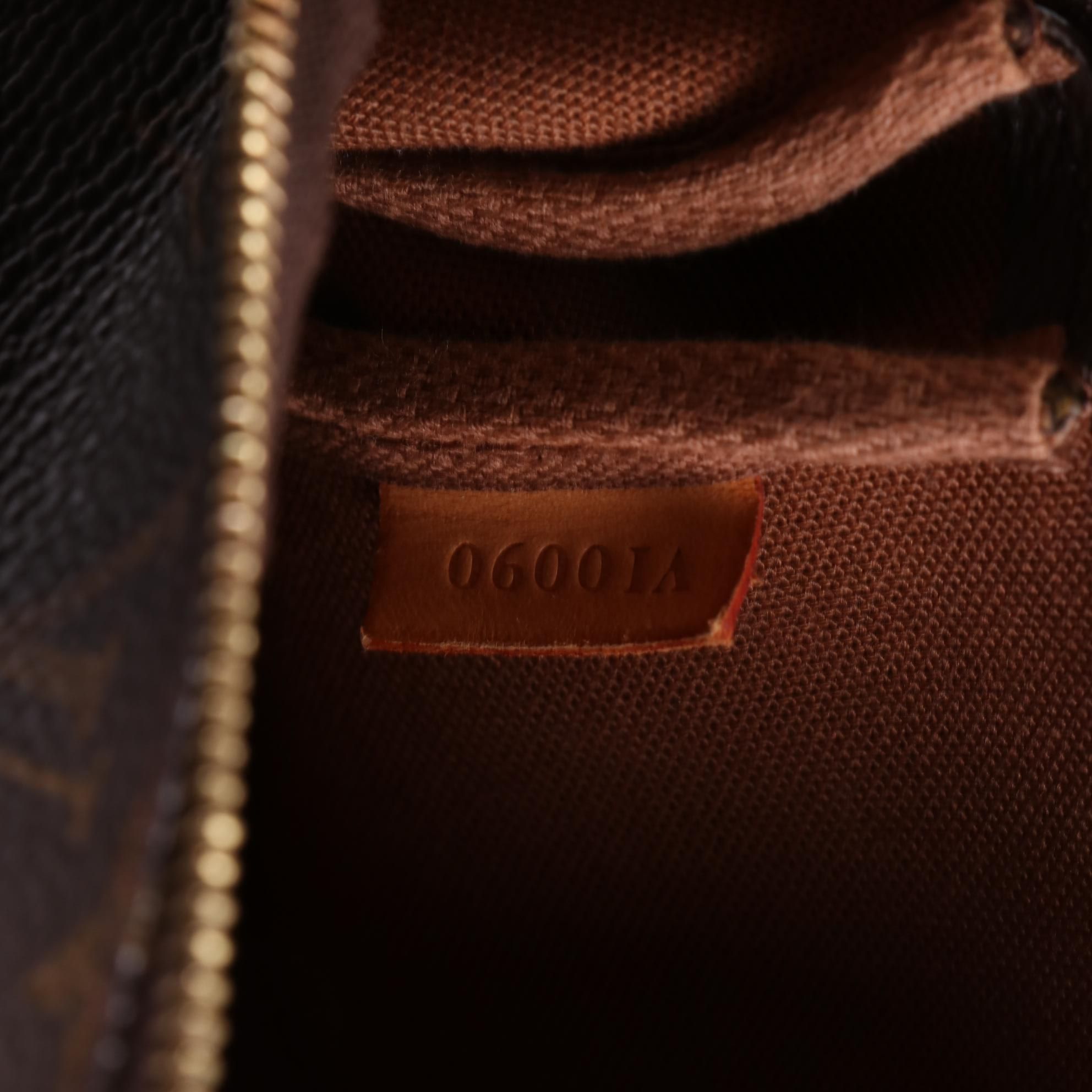 Louis Vuitton Pochette Accessoires in Monogram Canvas