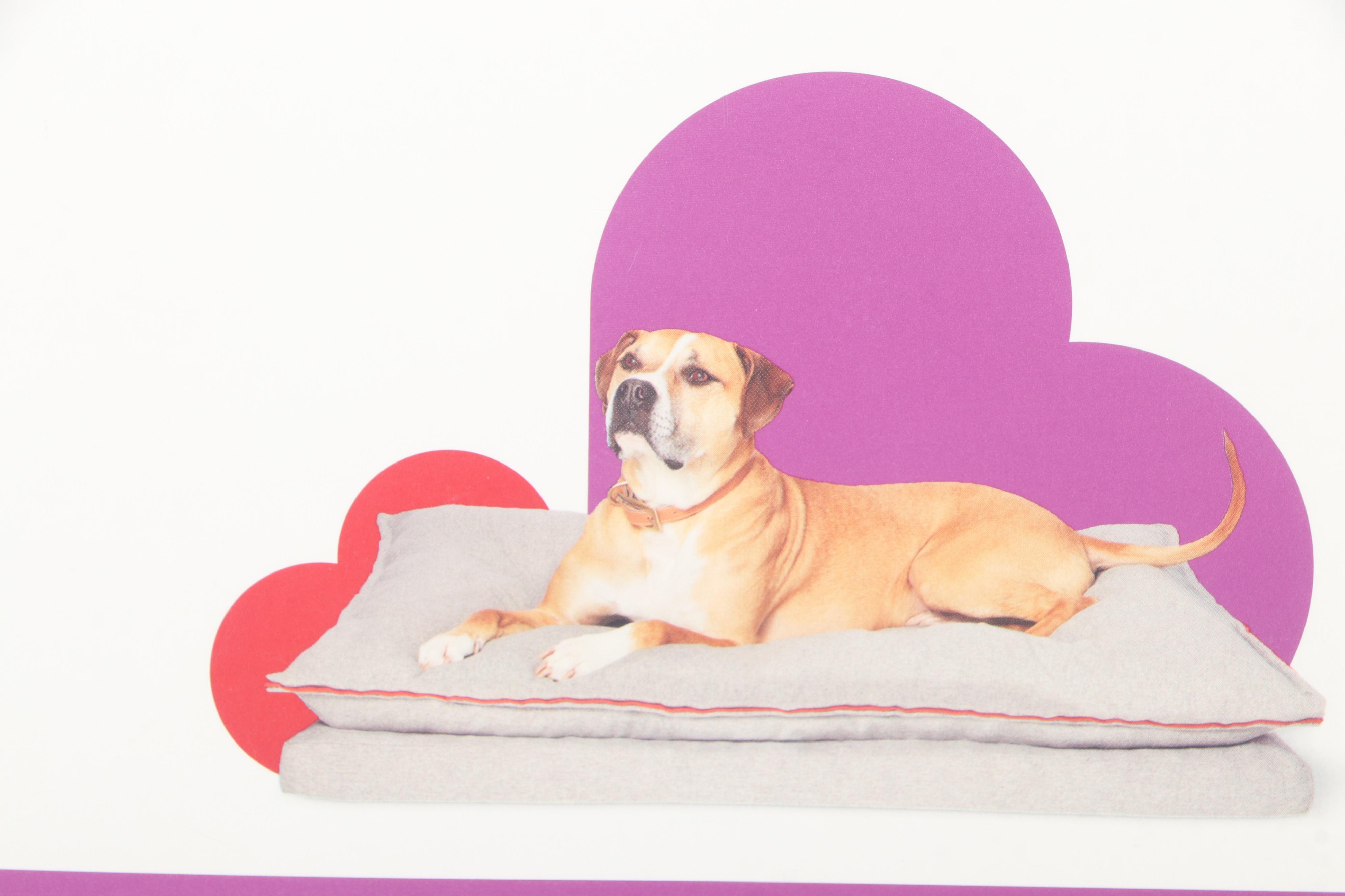 Two Boots & Barkley Extra Large Pillowtop Orthopedic Pet Beds