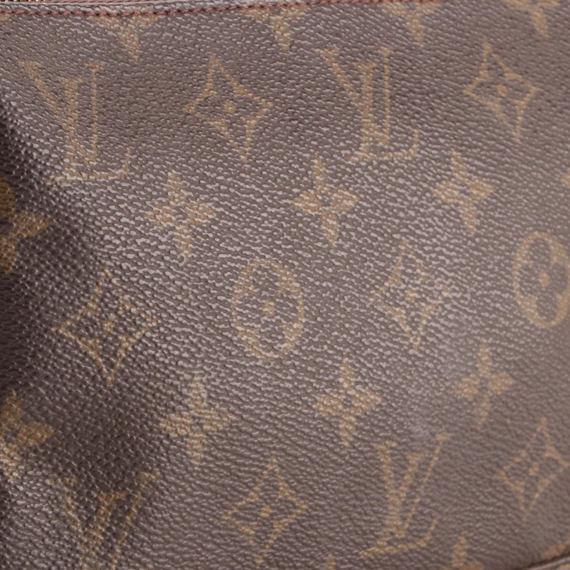 Louis Vuitton Pochette Accessories in Monogram Canvas and Leather
